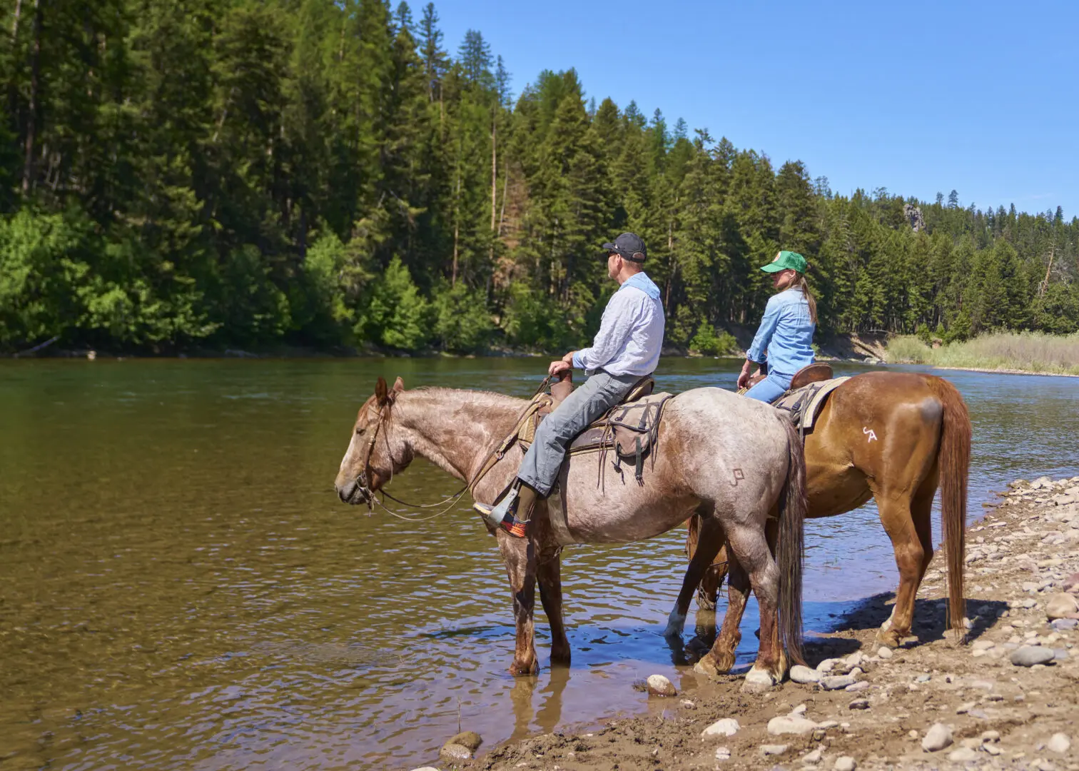 Two riders on horseback standing at the edge of a river bank.
