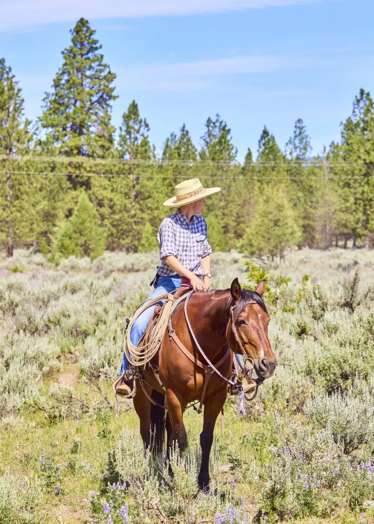 Man riding a horse with a straw hat and trees behind them.