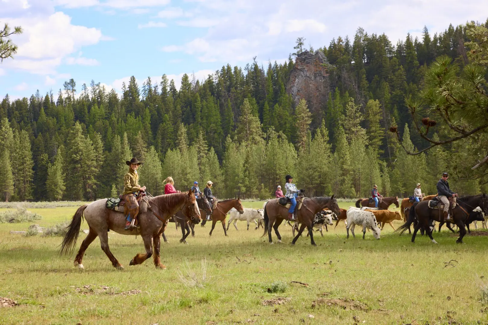 A group of cattle ranchers driving cattle on horseback with trees behind them.