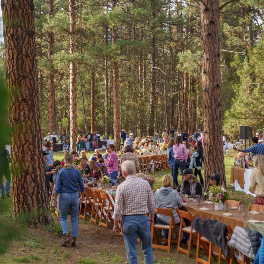 Group of people dining and walking around a large dining table in the woods.