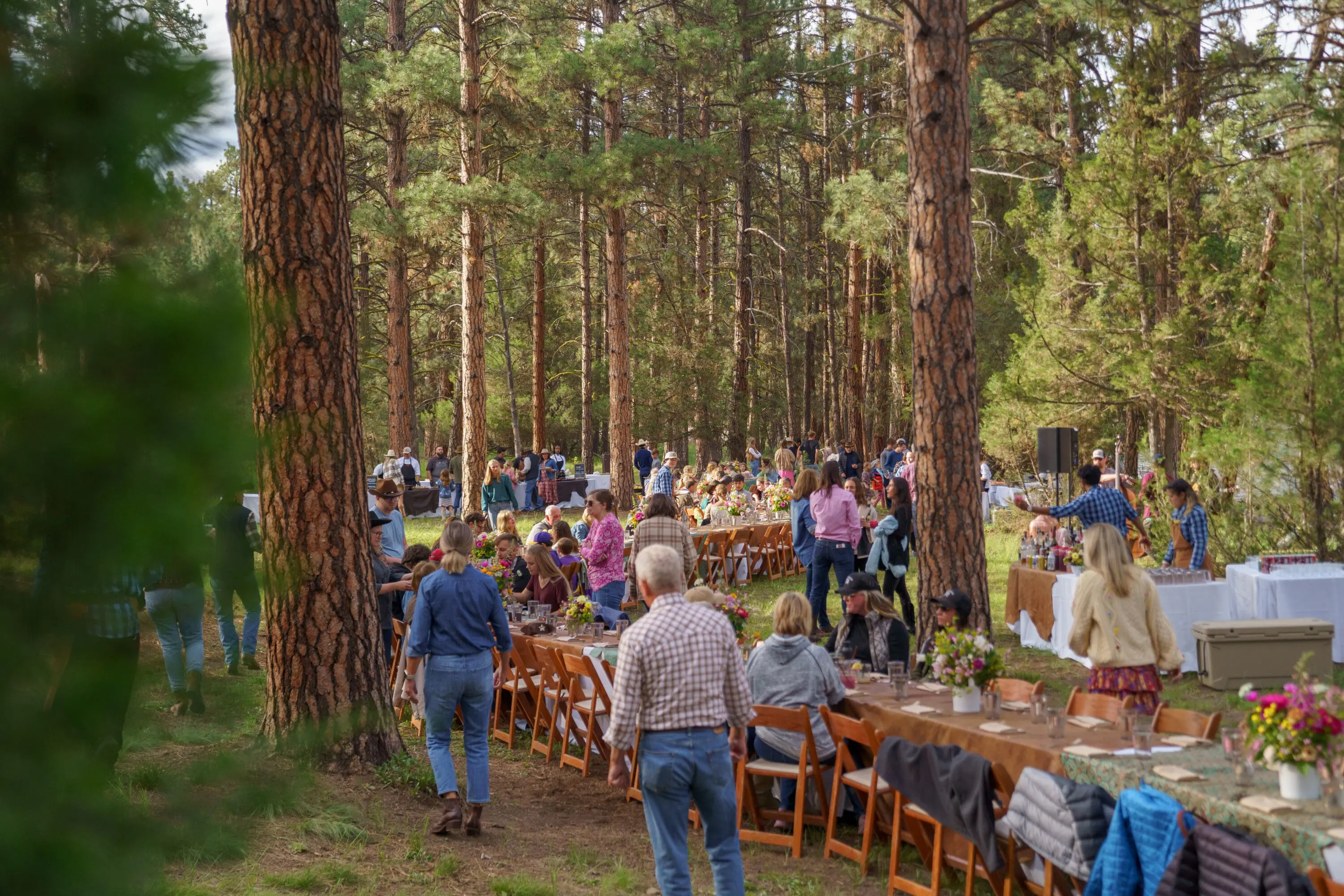 Group of people dining and walking around a large dining table in the woods.