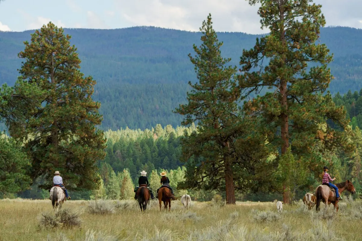A group of people riding on horseback through a mountain area.