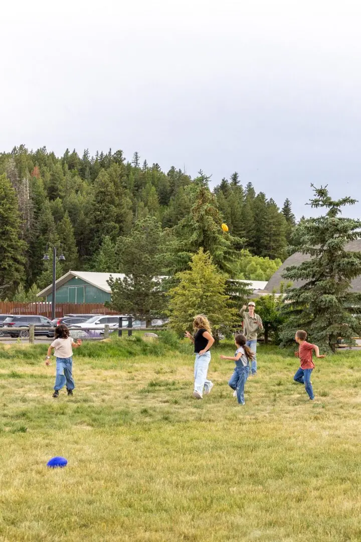 Children playing outside on a lawn with trees and a green barn in the background.