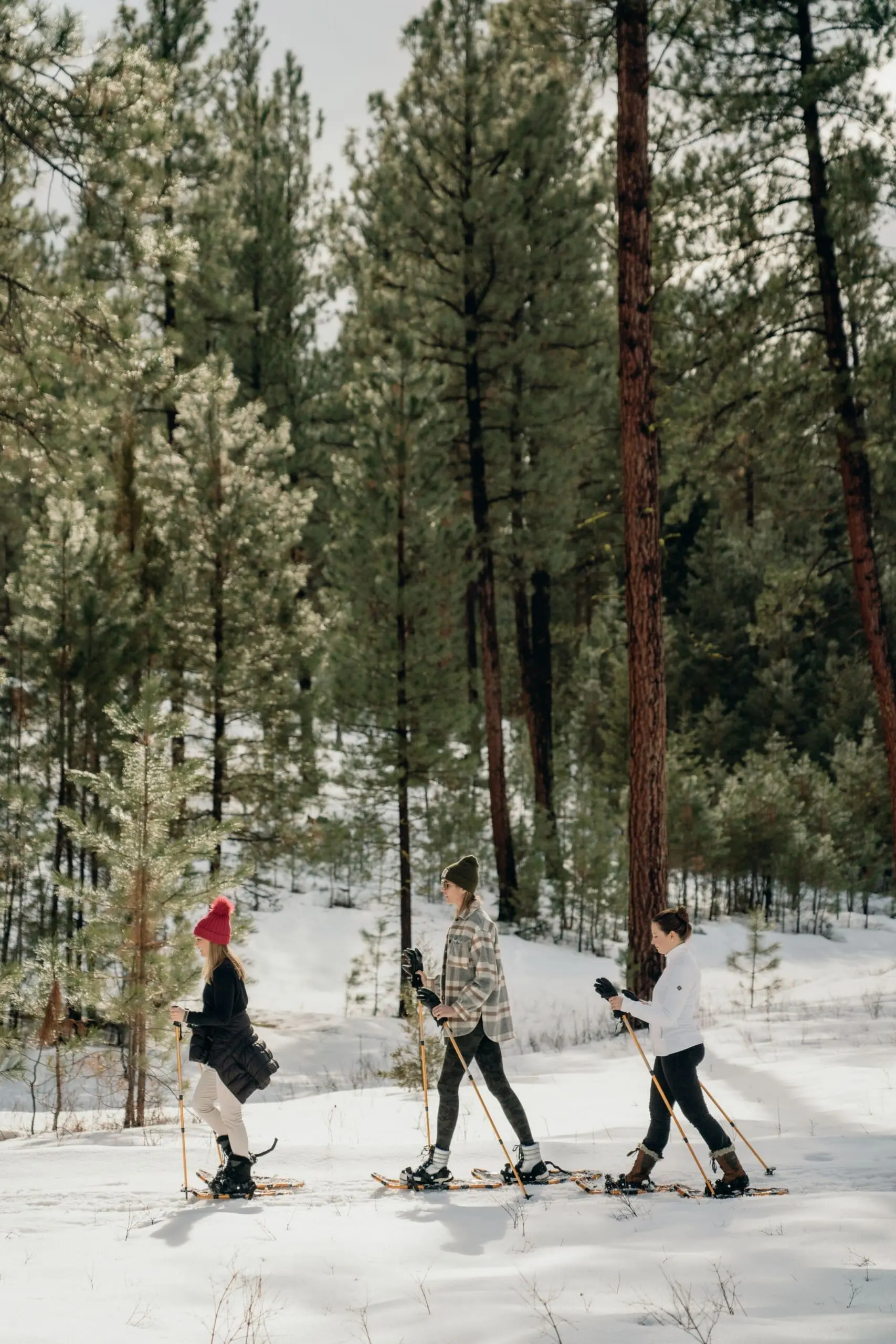 Three girls snowshoeing in the woods