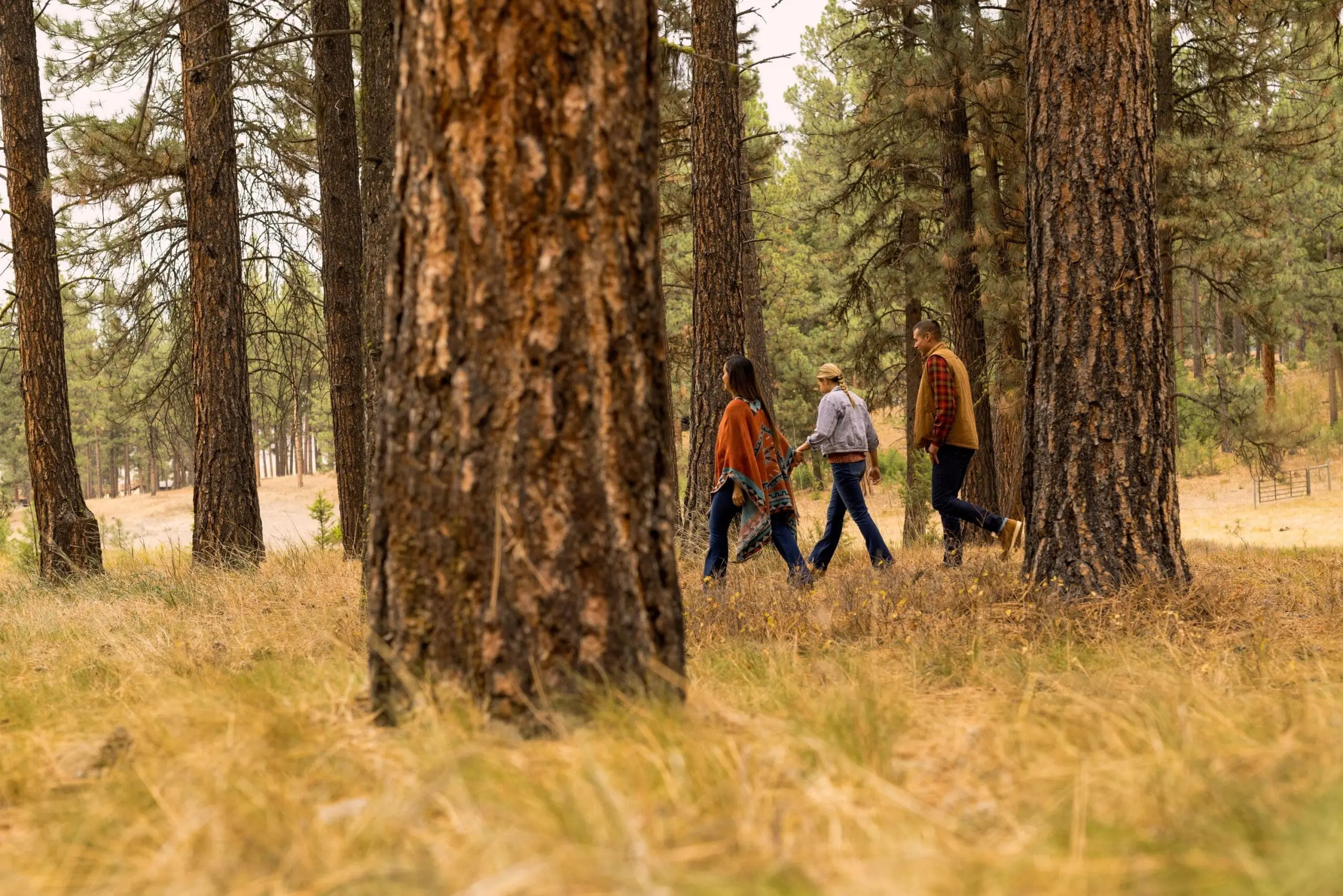 Three people hiking through the woods
