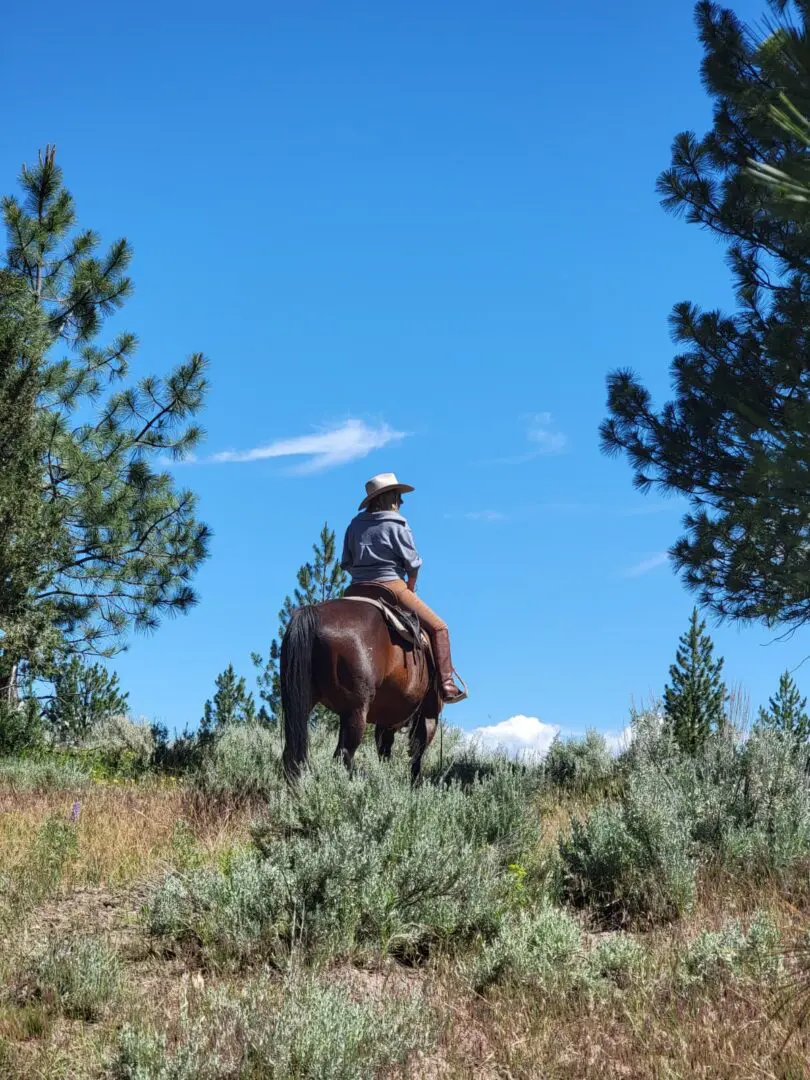 Rangler on horseback with a blue sky behind her.