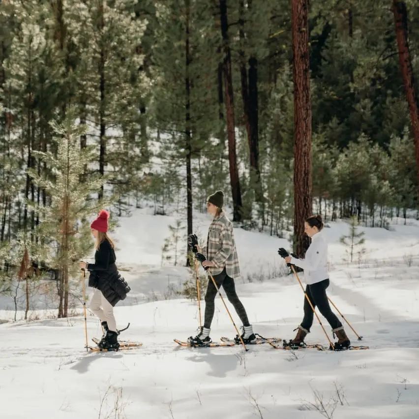 Three people snowshoeing on a snowy path in a forest