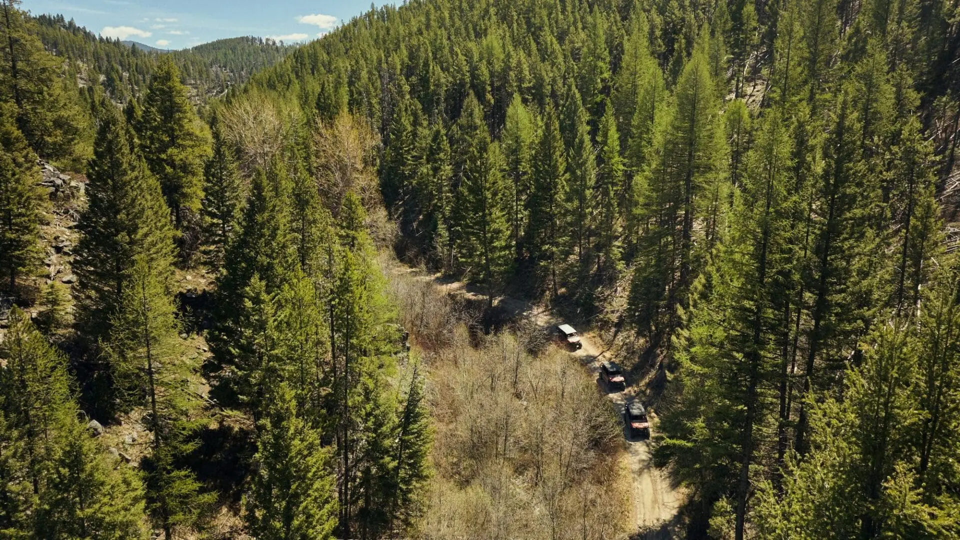 A group of Polaris UTVs traveling through the Montana forest from an aerial view