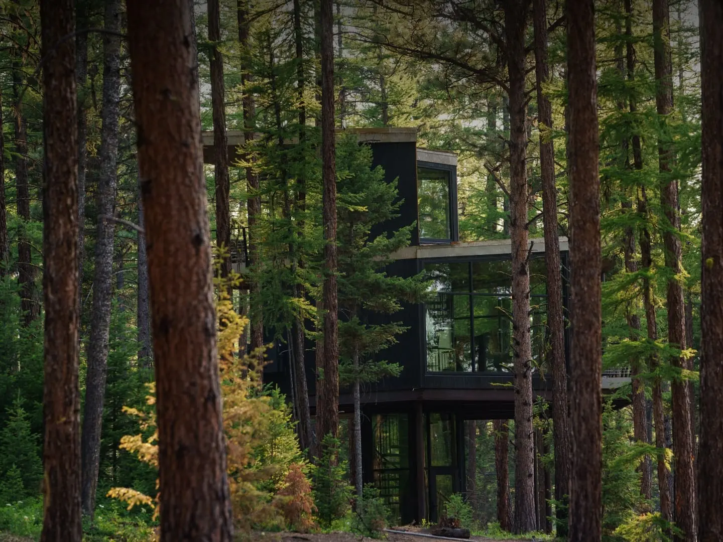 Outside view of Tree Haus at Green O through the trees | Paws Up | Montana Luxury Resort
