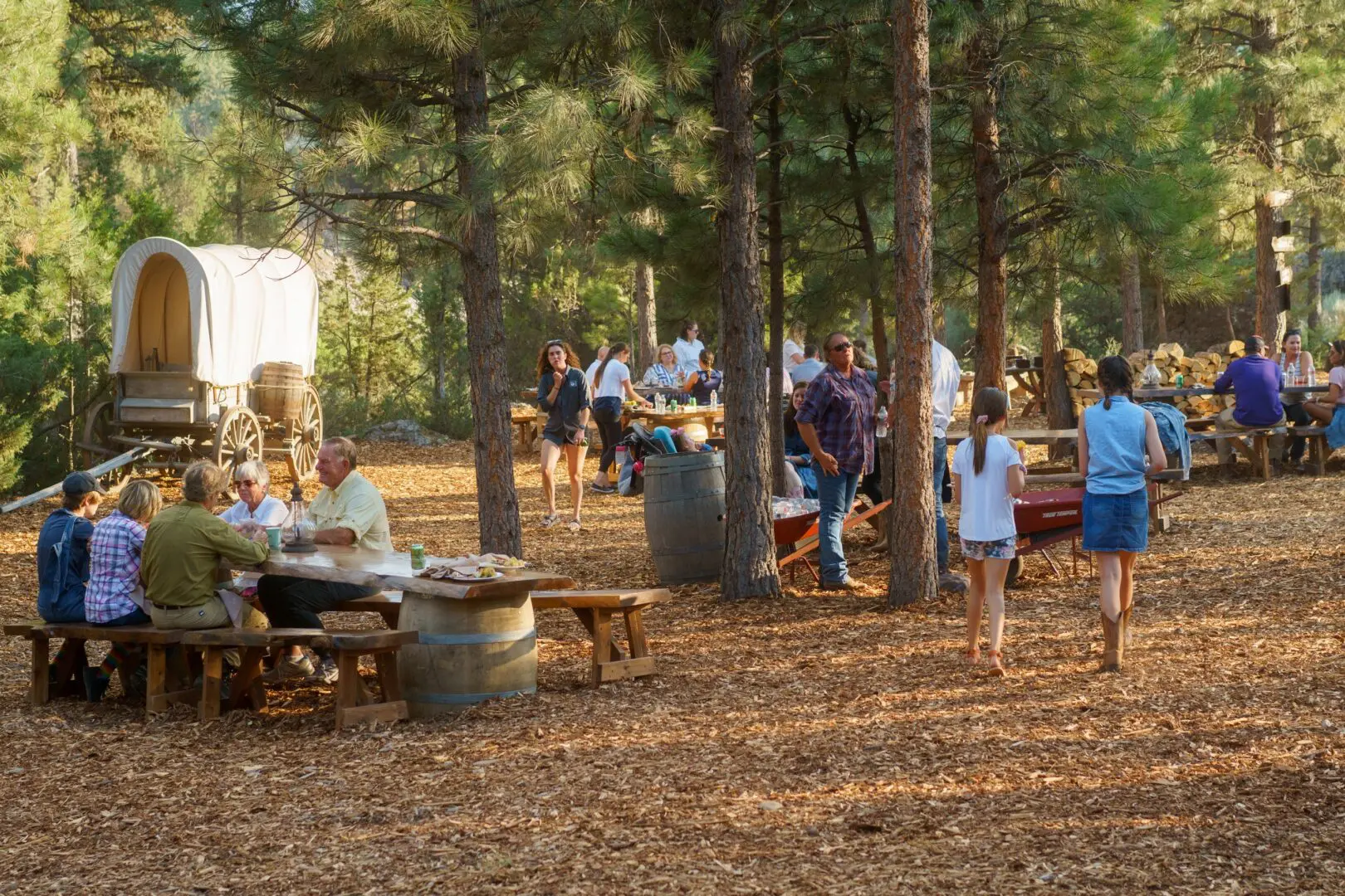 Large groups of people outside at wooden benches eating food.