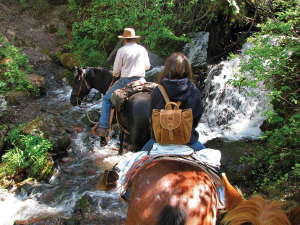 Horse Riding Horse Riding