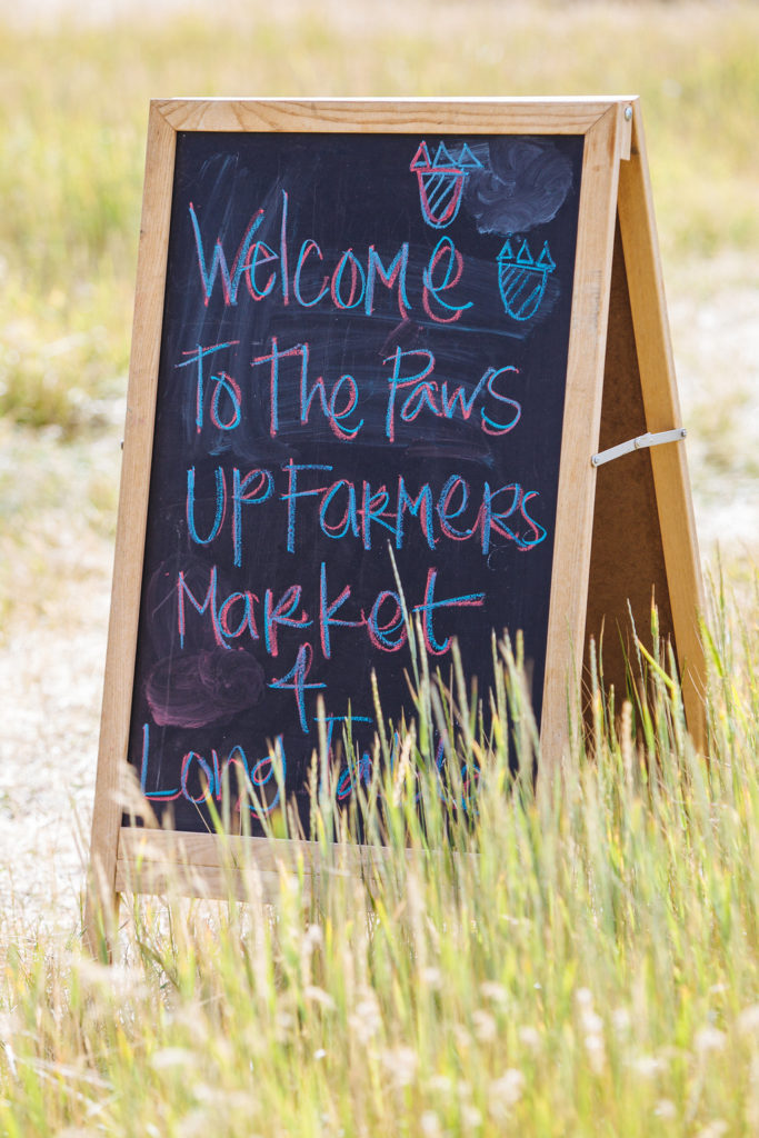 artisanal picnic the resort at paws up