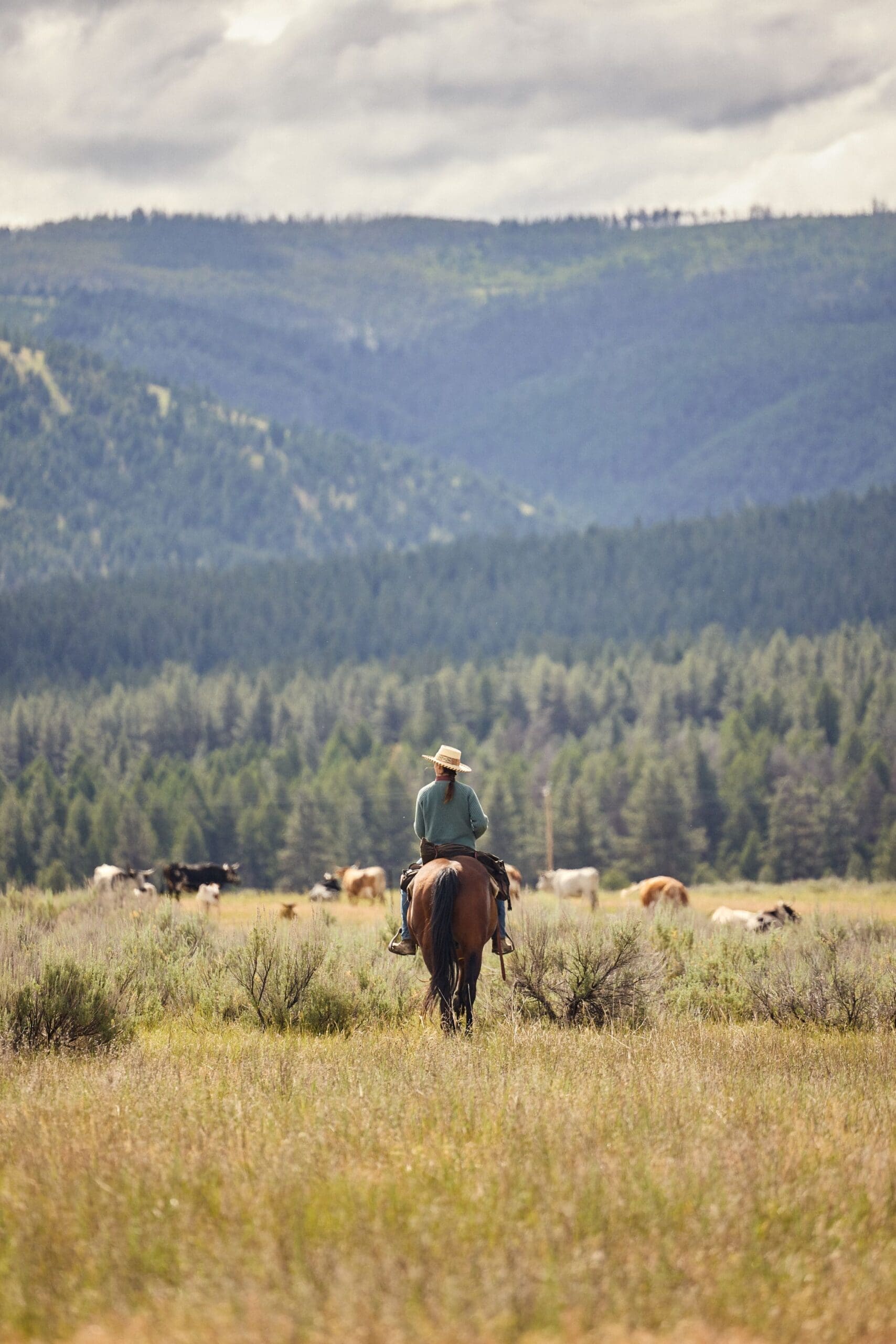 Cowgirl riding a horse