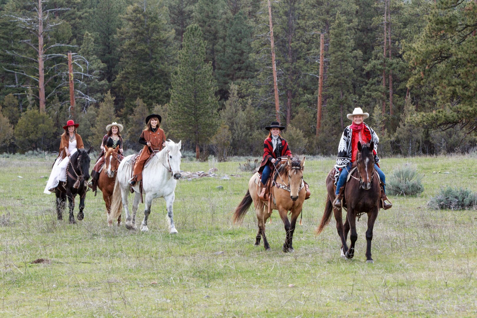 Four women riding horses with pines and an open field behind them.