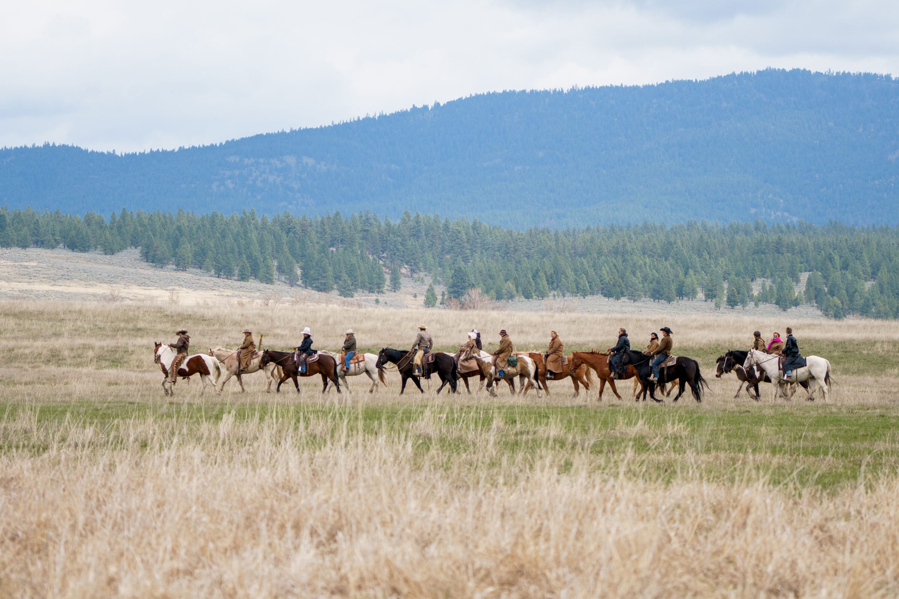 Group of female cowgirls hearing a group of cattle on a hill.