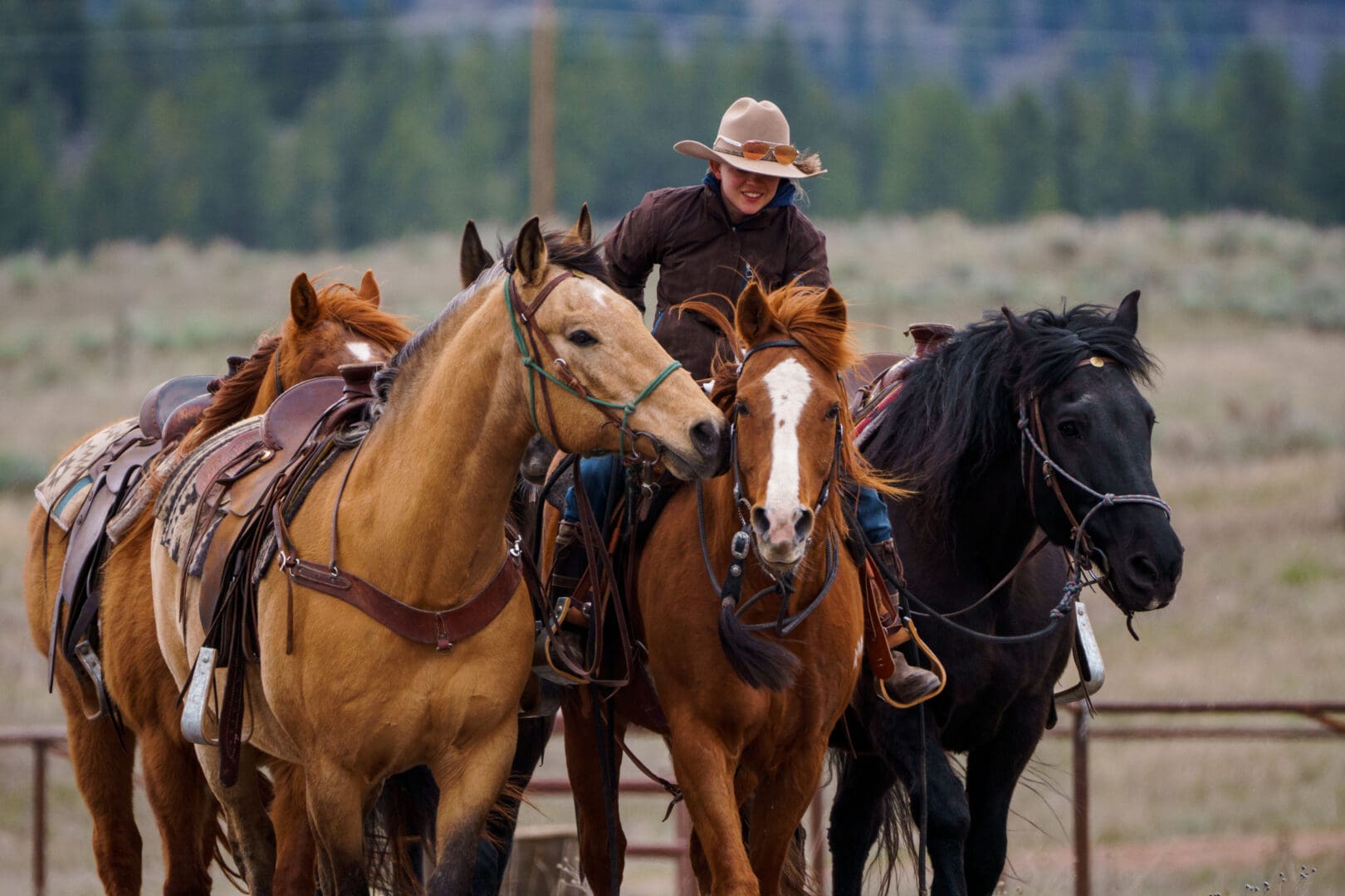 One cowgirl sitting on a dark brown horse, while trying to wrangle two other horses beside her.