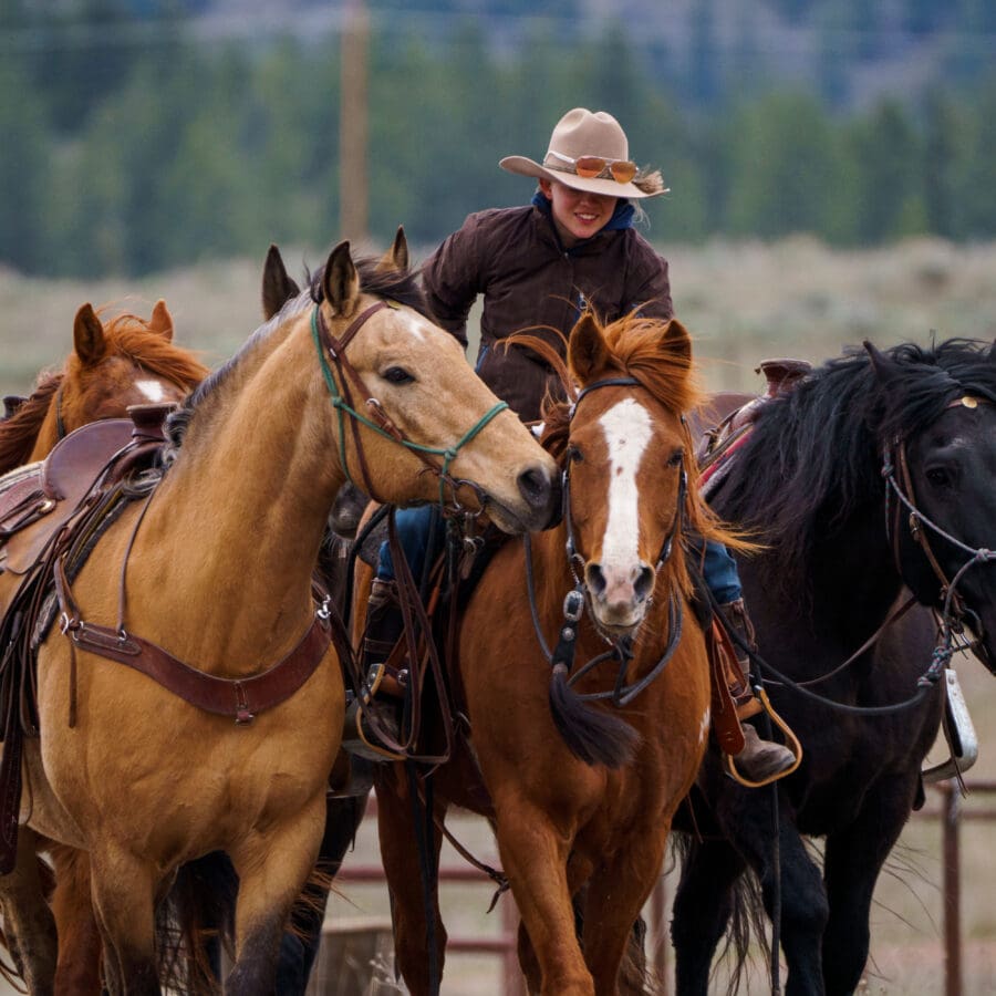 One cowgirl sitting on a dark brown horse, while trying to wrangle two other horses beside her.