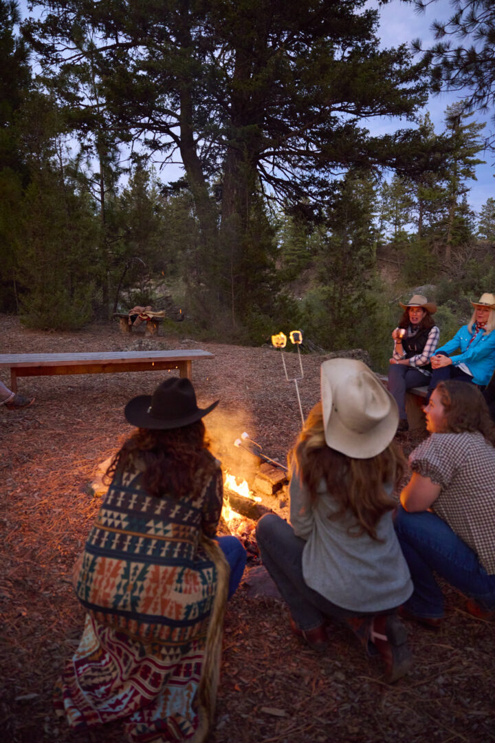 Group of women sitting around a fire at dusk roasting marshmallows.