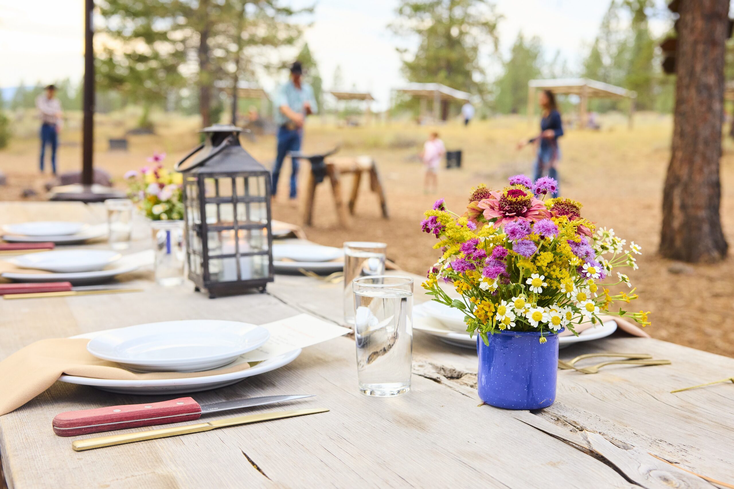 Table set with plates, napkins, and flowers outside with people playing games in the background.