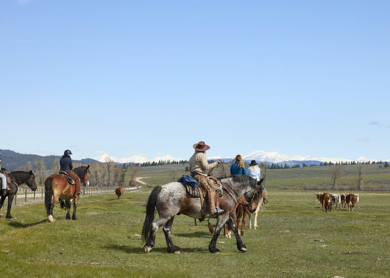 Group of cowgirls riding on a field with mountains behind them.