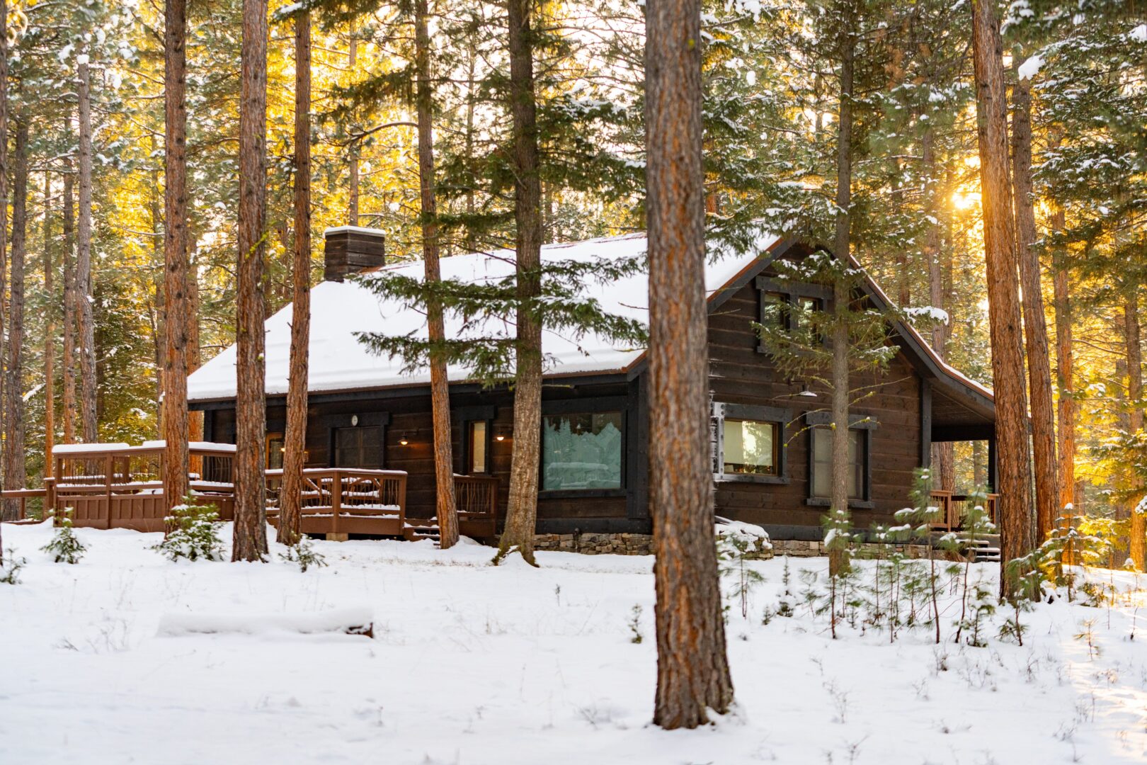 Snow covered cabin surrounded by tall pines.