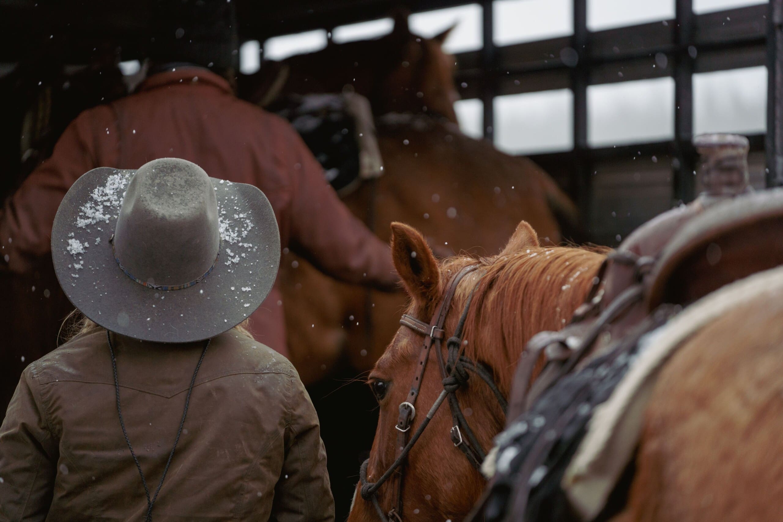 Cowgirl facing away tending to a brown horse