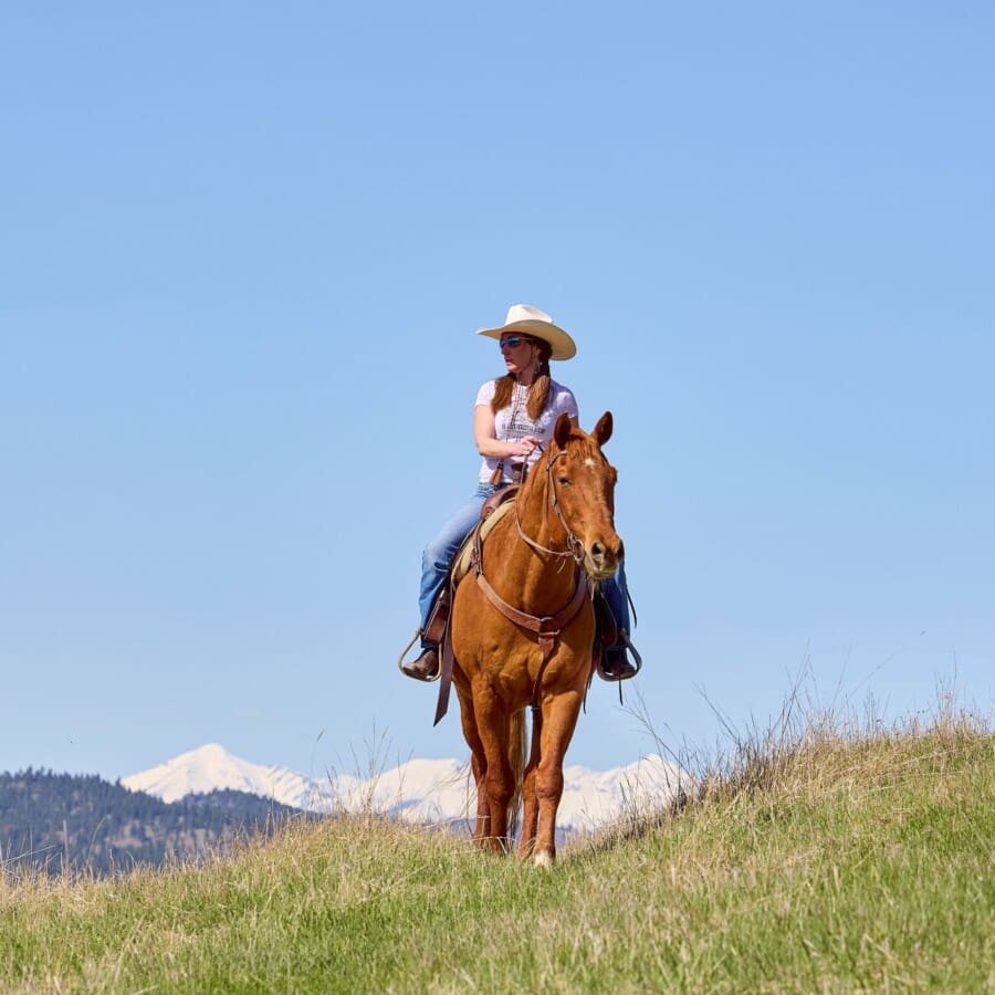 Cowgirl riding a brown horses in a mountain field