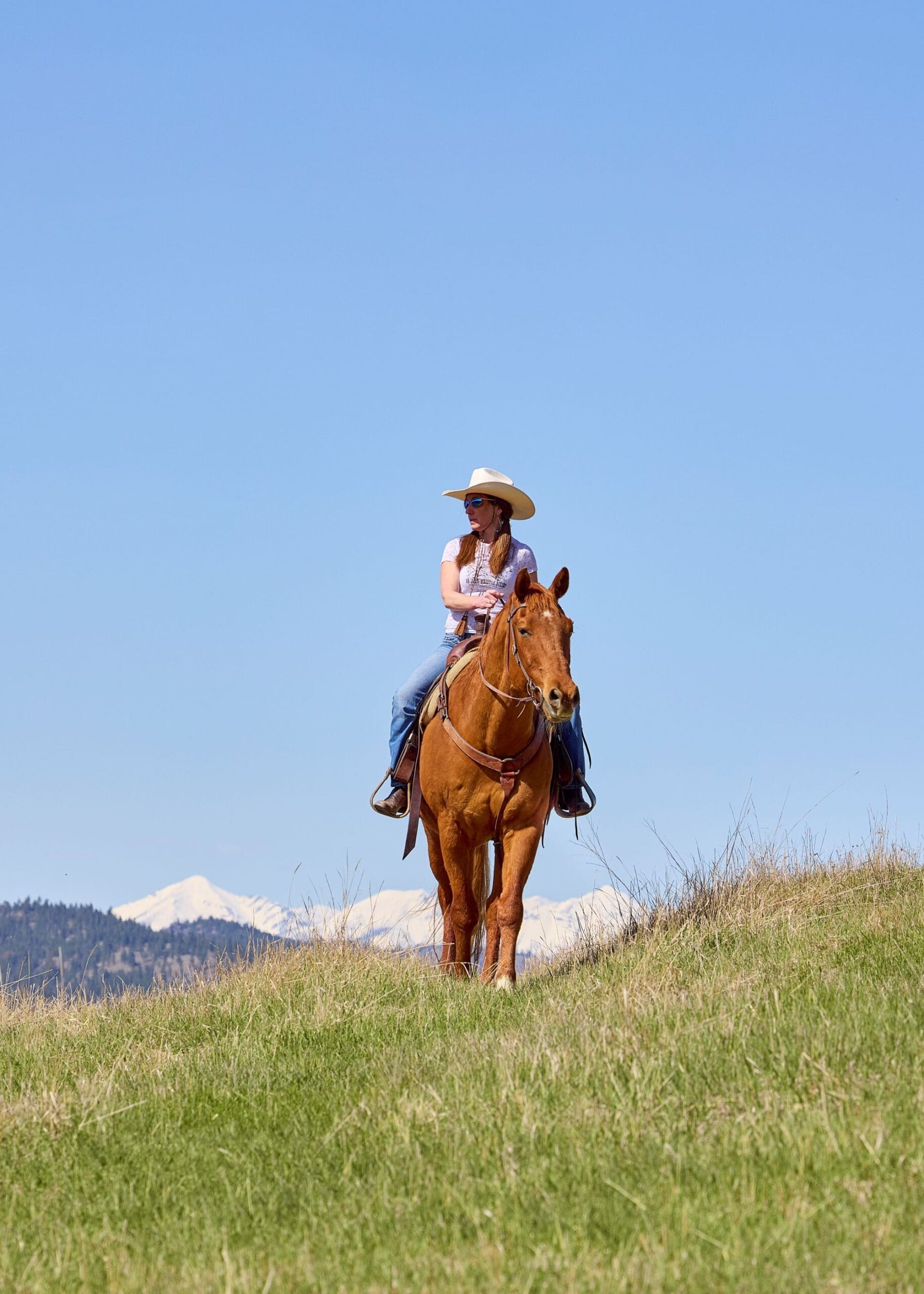 Cowgirl riding a brown horses in a mountain field