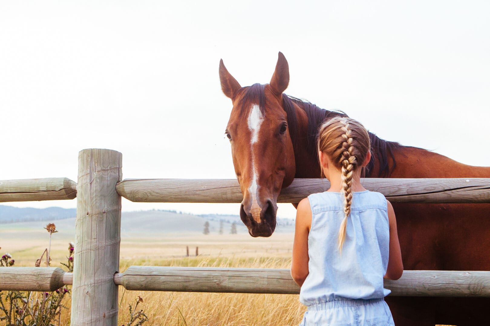 Girl with a horse leaning over a fence.