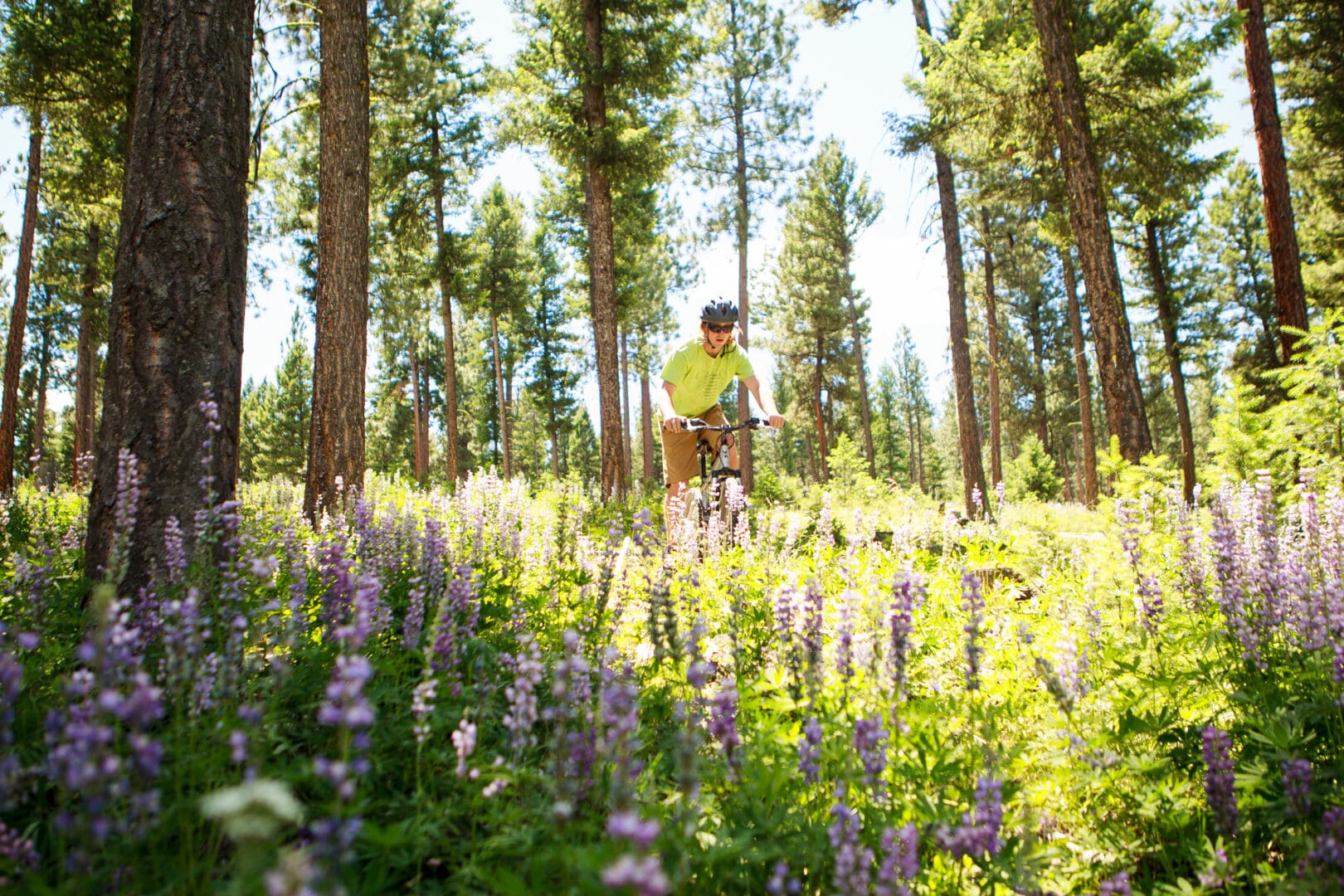 Man mountain biking through a green forest with purple flowers.