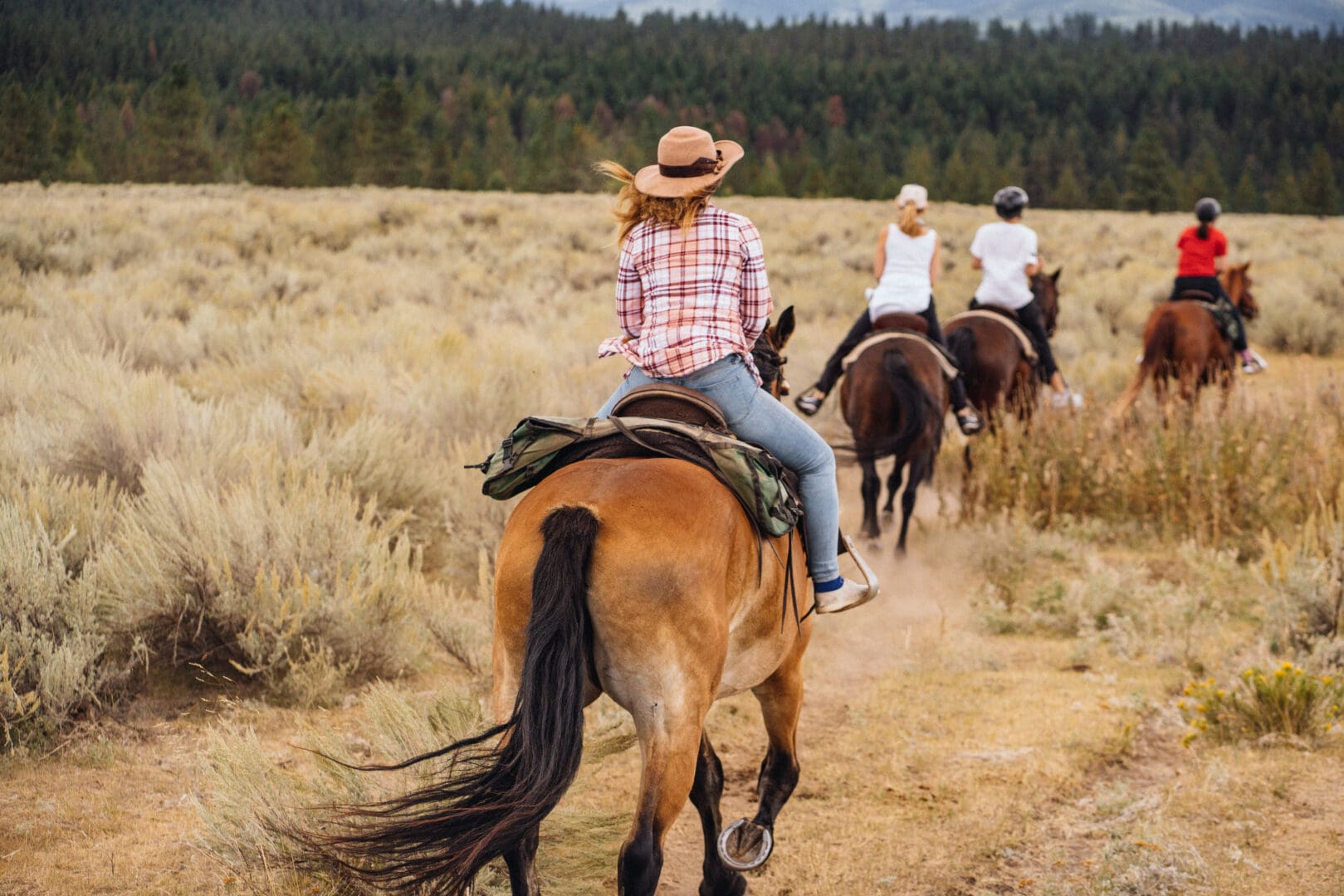 Shot of people riding horses during the fall or spring in a field.