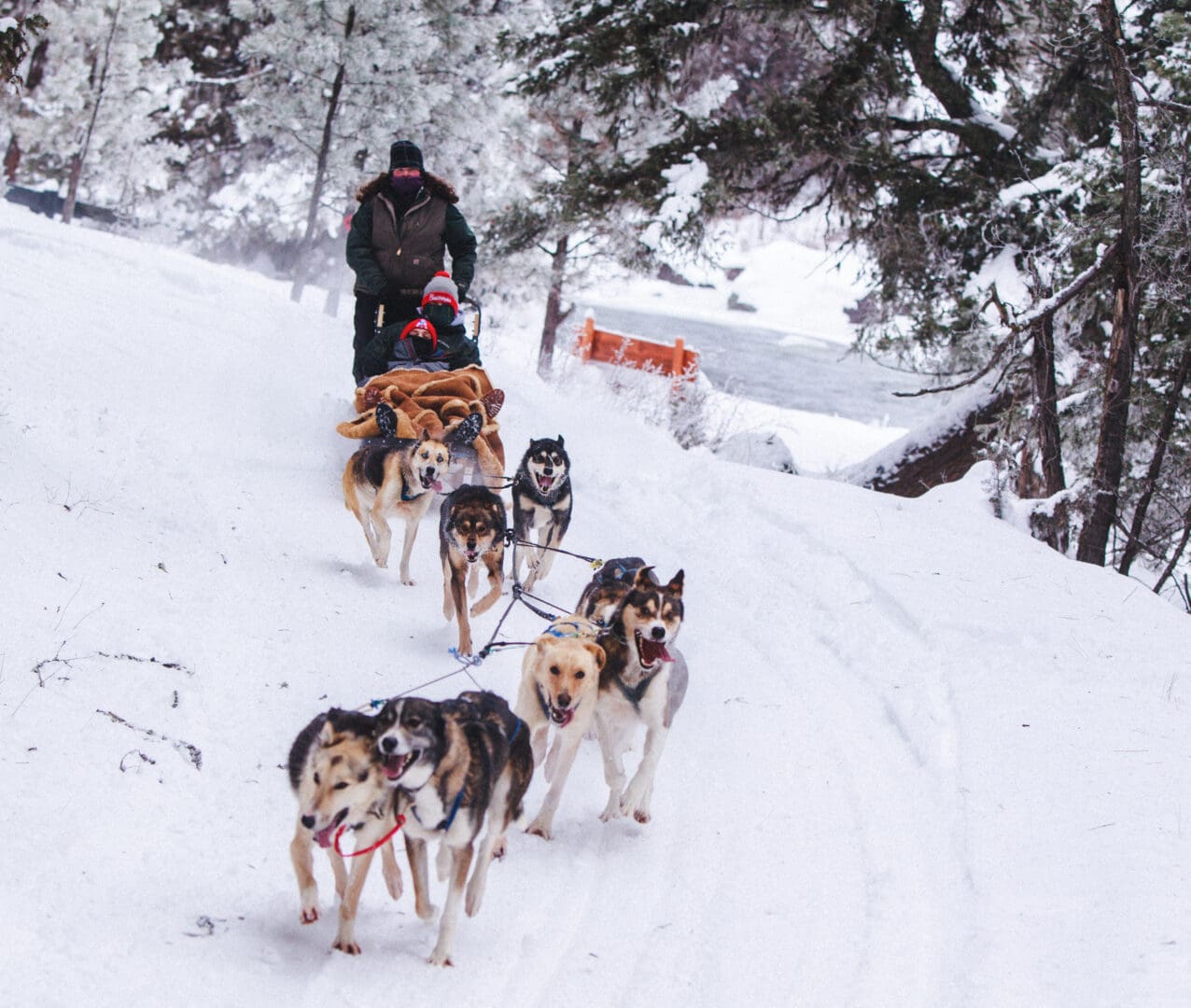 Man riding on the back of a dog sled with two people sitting in front riding it on a snowy day.