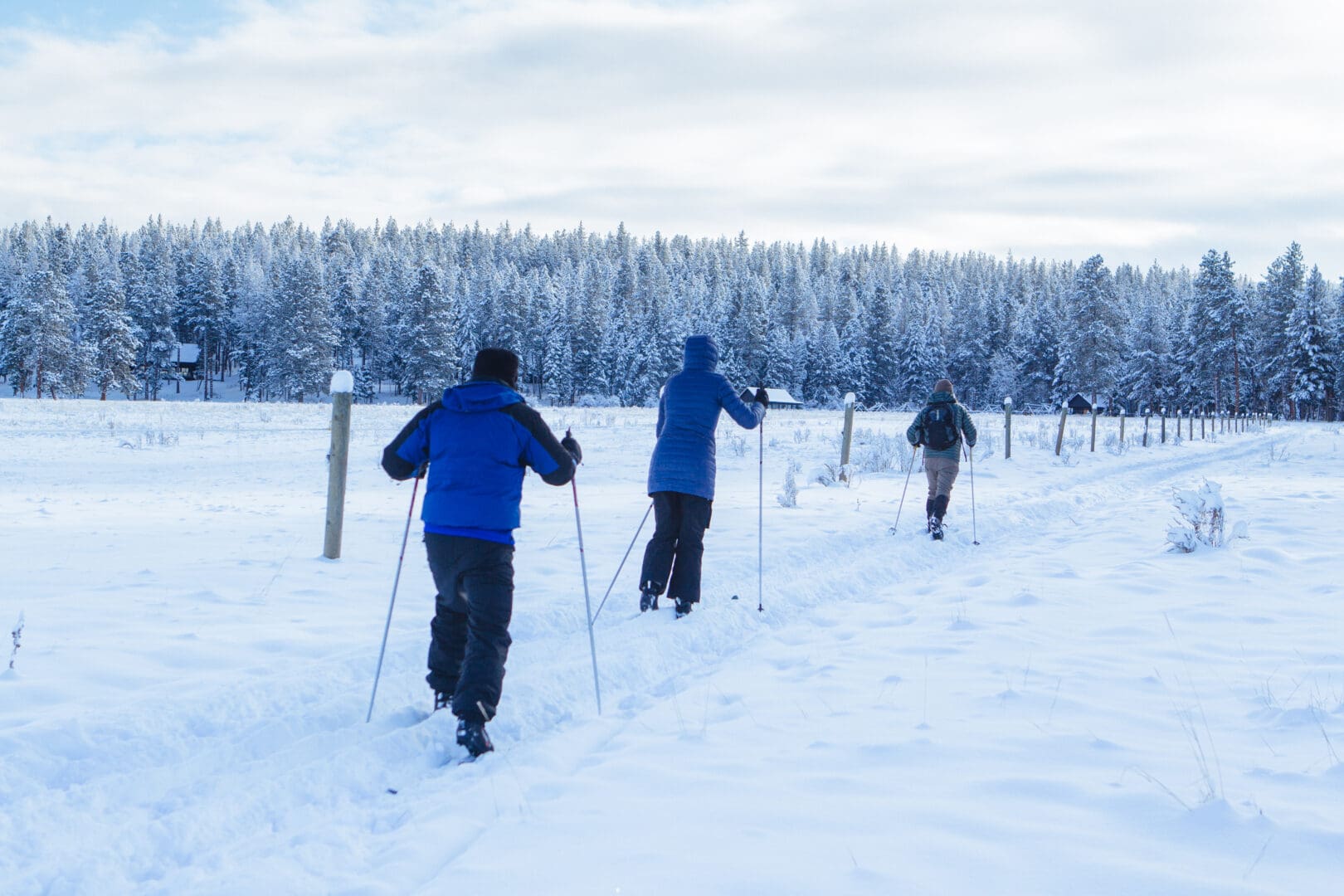 Group of three individuals cross country skiing through a snowy field.