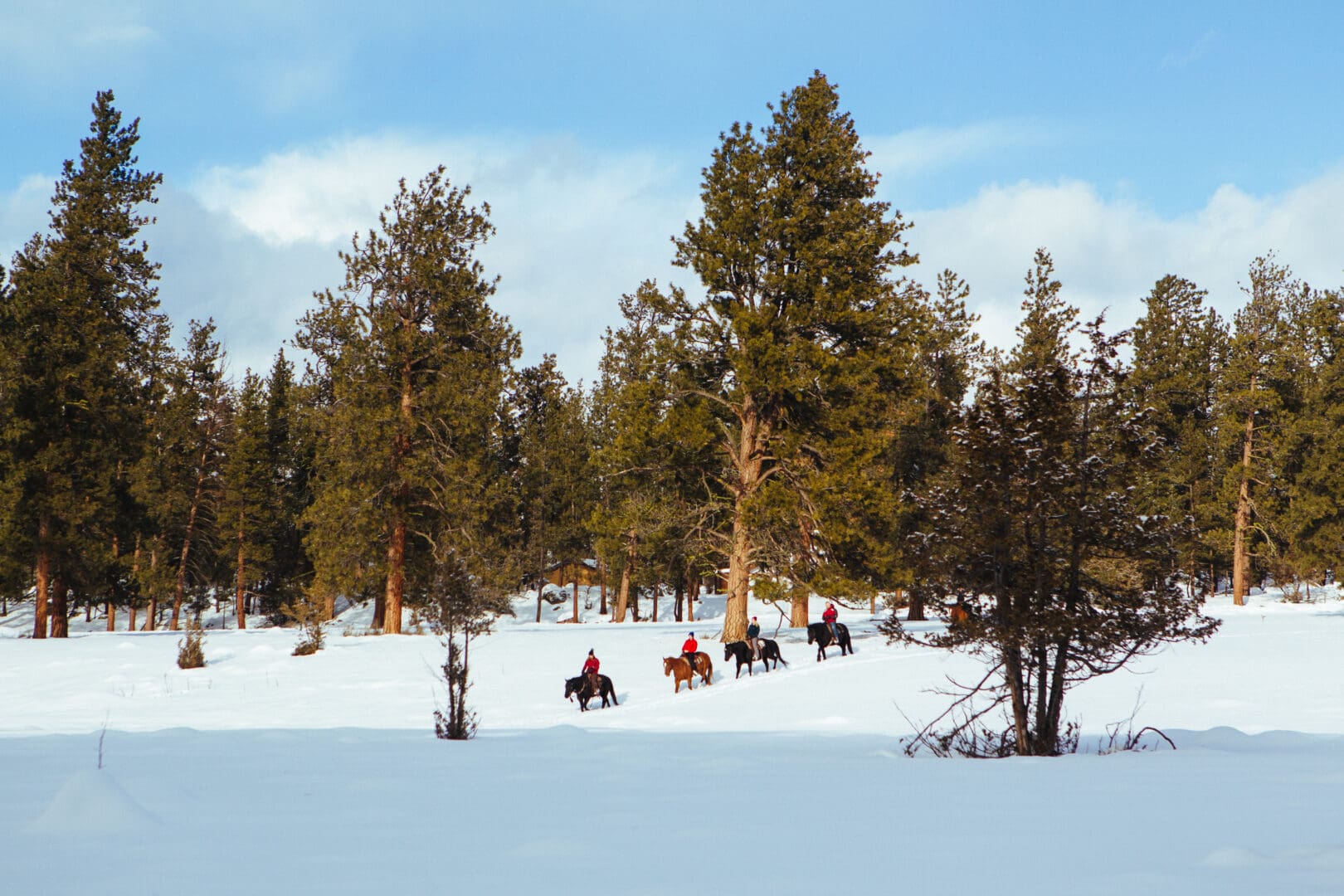 Group of individuals horseback riding through a snowy field with trees around them.