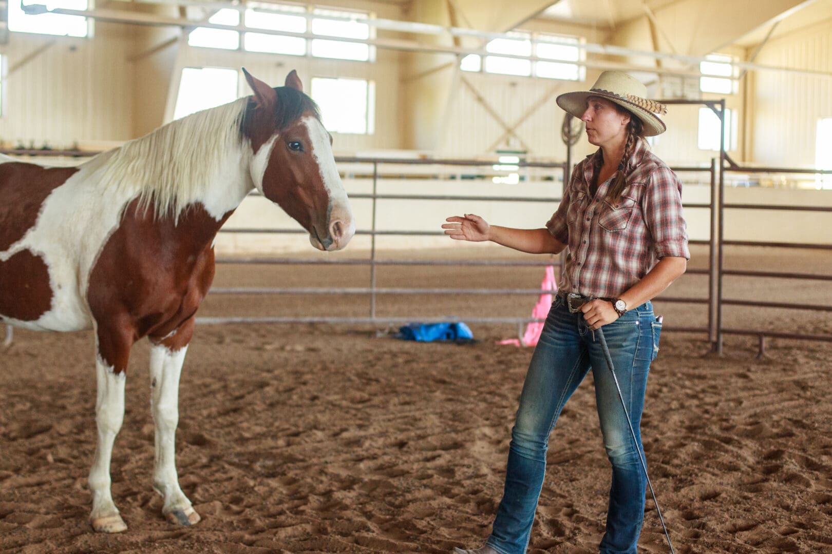 Cowgirl reaching towards a horse walking around in an arena.