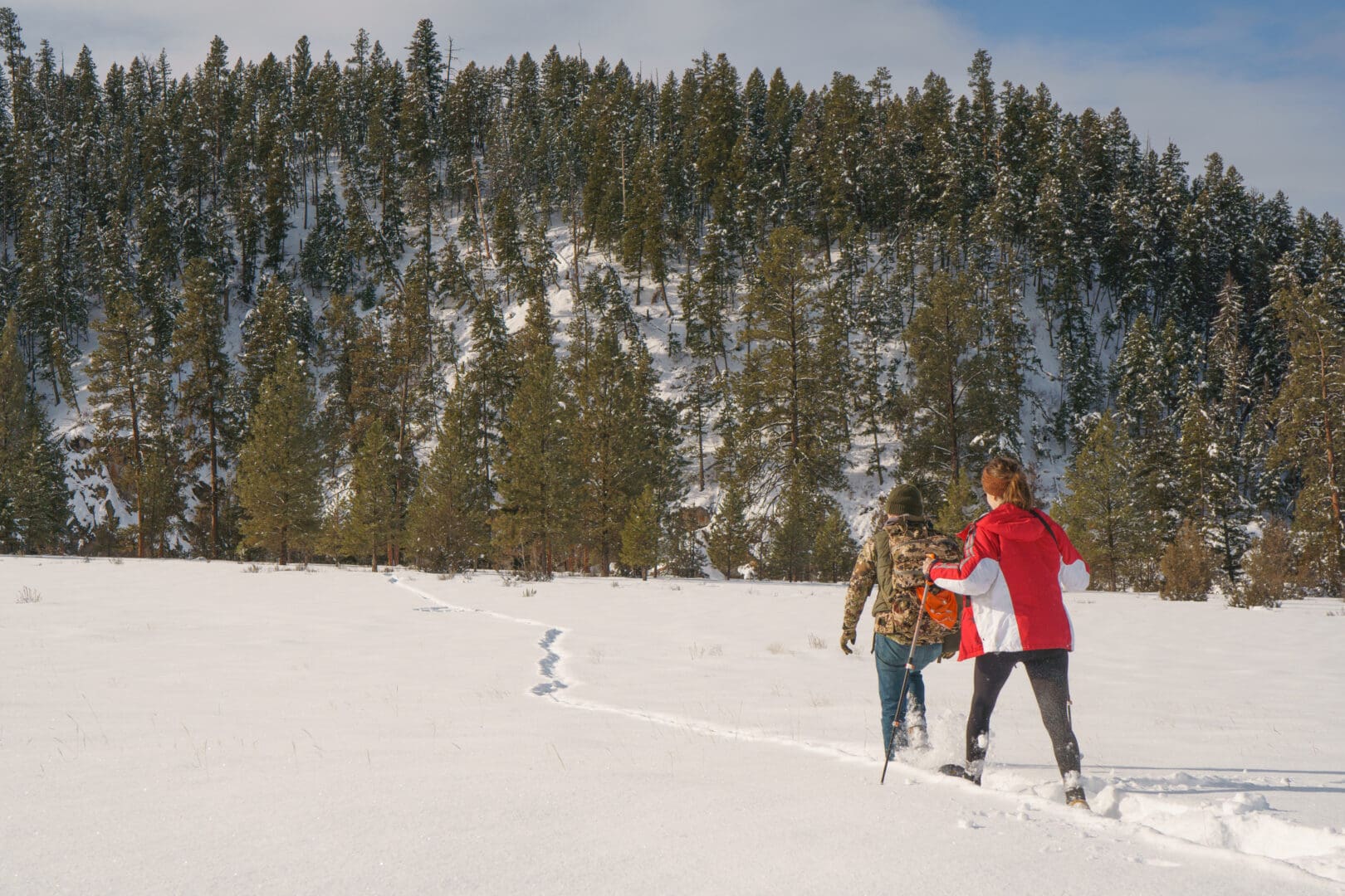 Shot of snowy hill with trees in the background and two individuals snowshoeing across a snowy field.