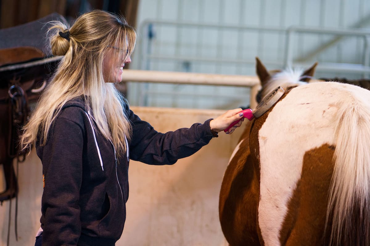 Woman petting a horse inside an arena.