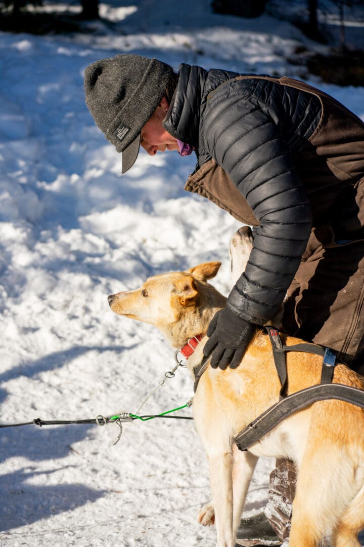 Man petting a dog in the snow.
