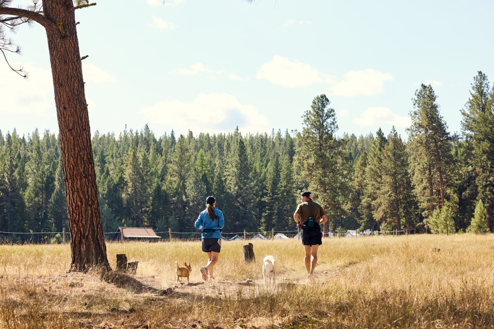Trail runners on a grassy trail with their two dogs.