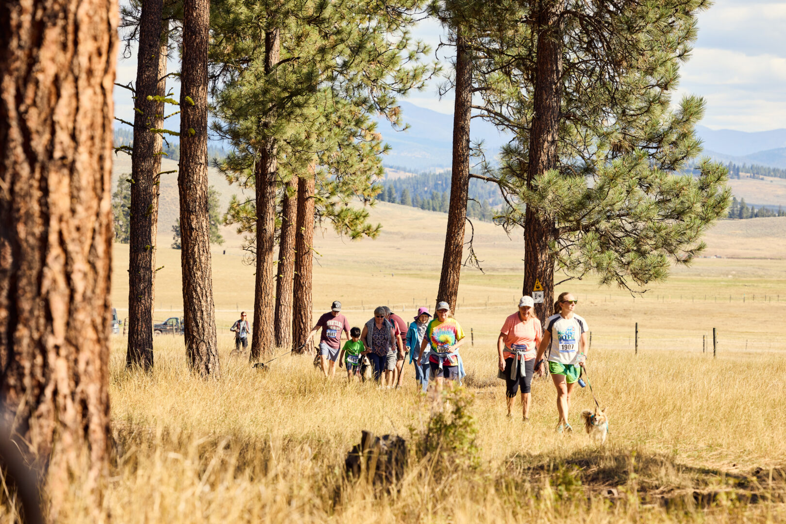 Trail runners running through some woods with their dog.