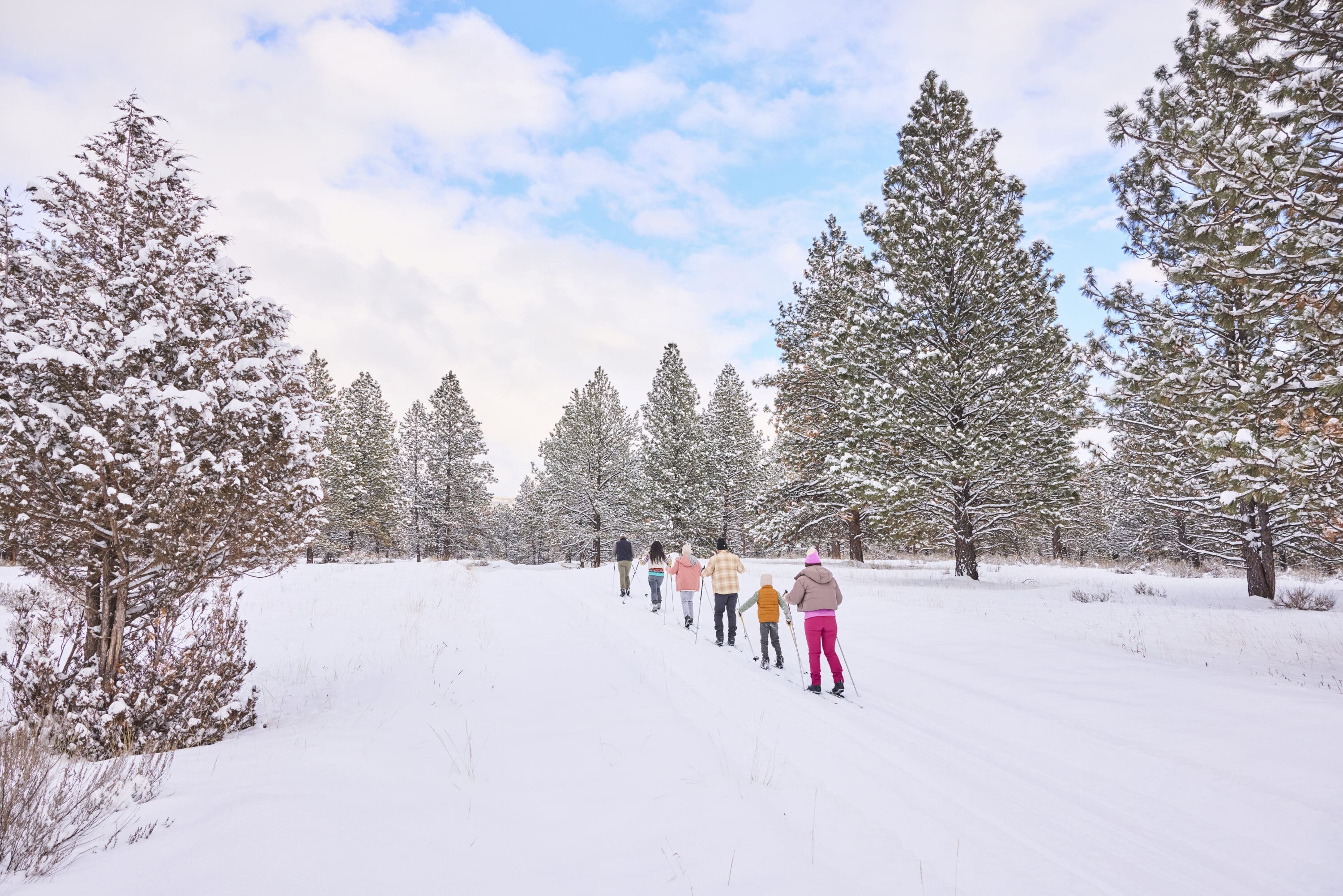 Family cross-country skiing through a snowy forest