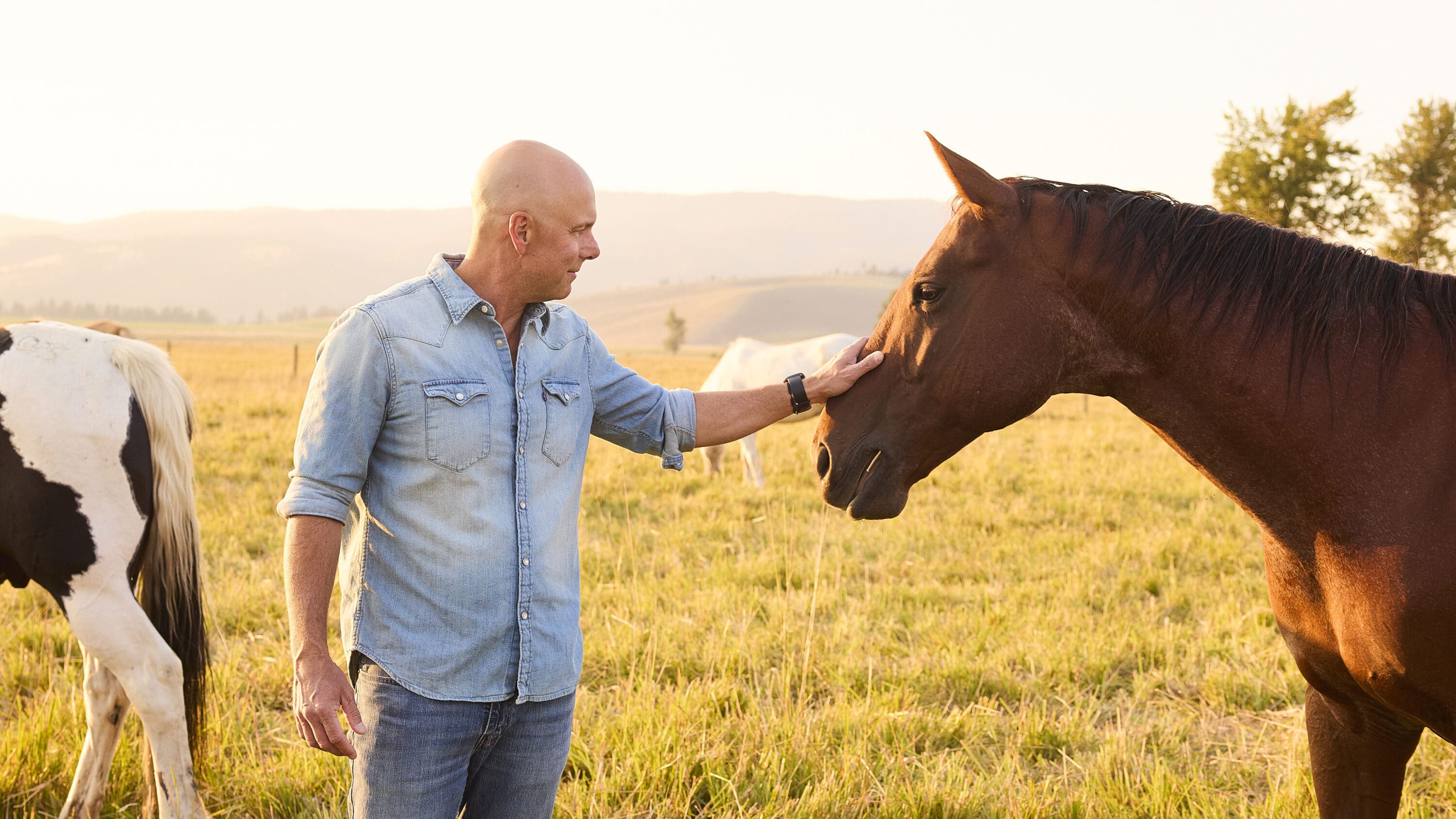 Image of man petting a horse in an open field.
