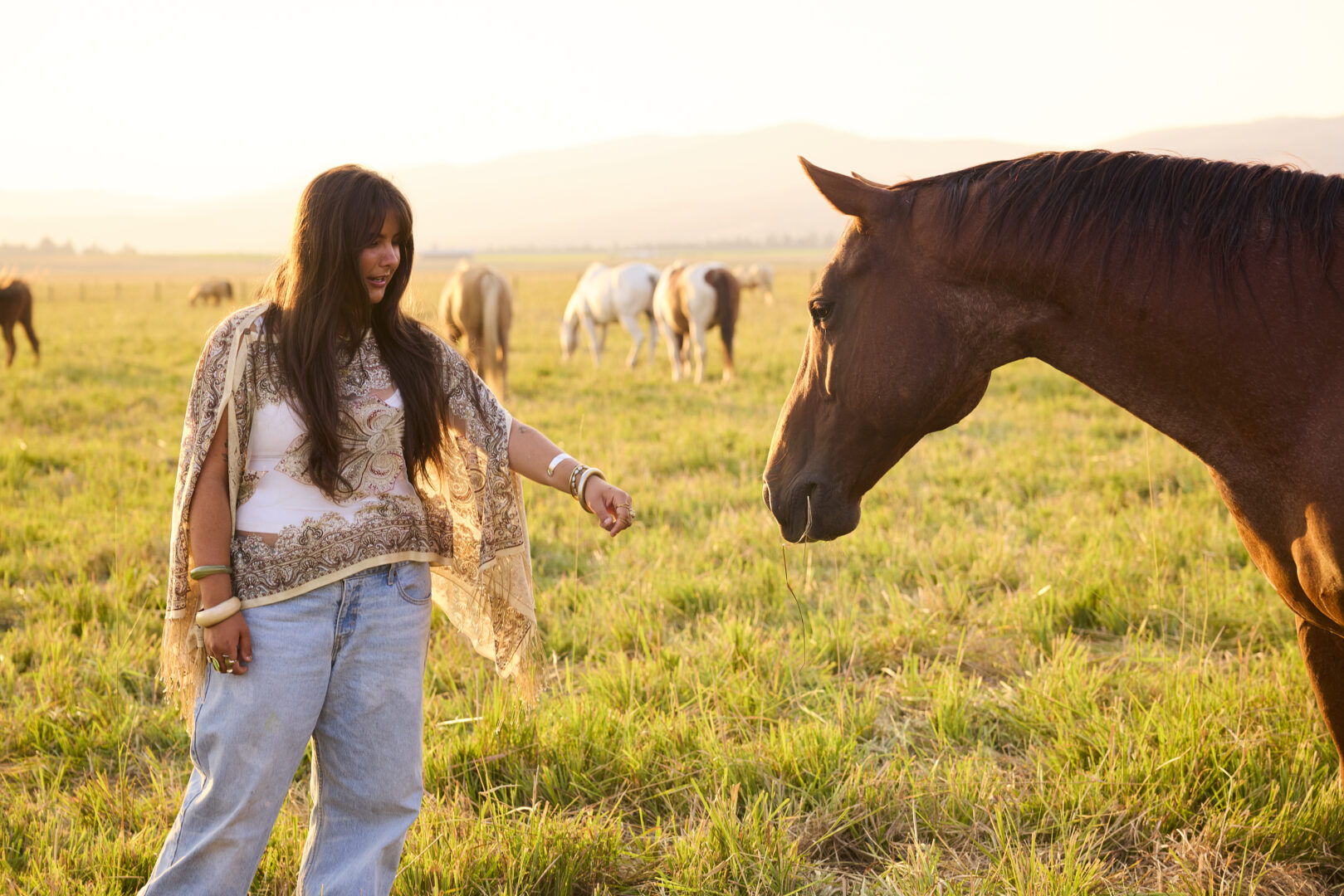 Lady reaching out to pet a horse in an open field.