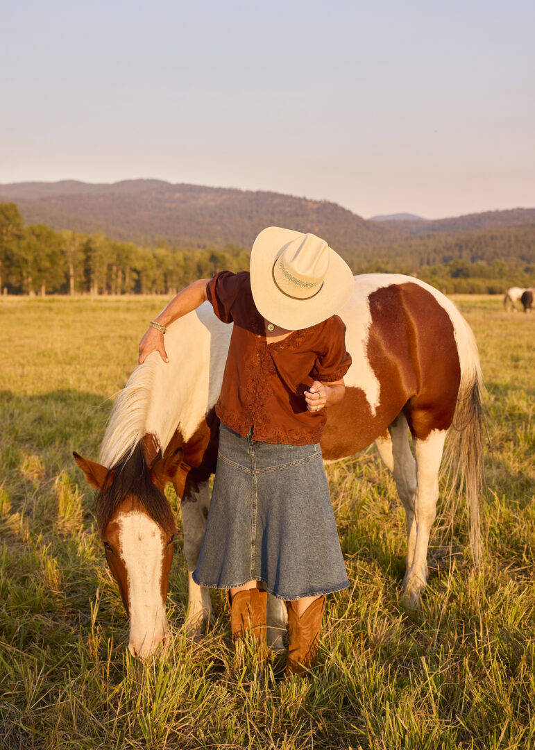 Lady reaching out to pet a horse in an open field.