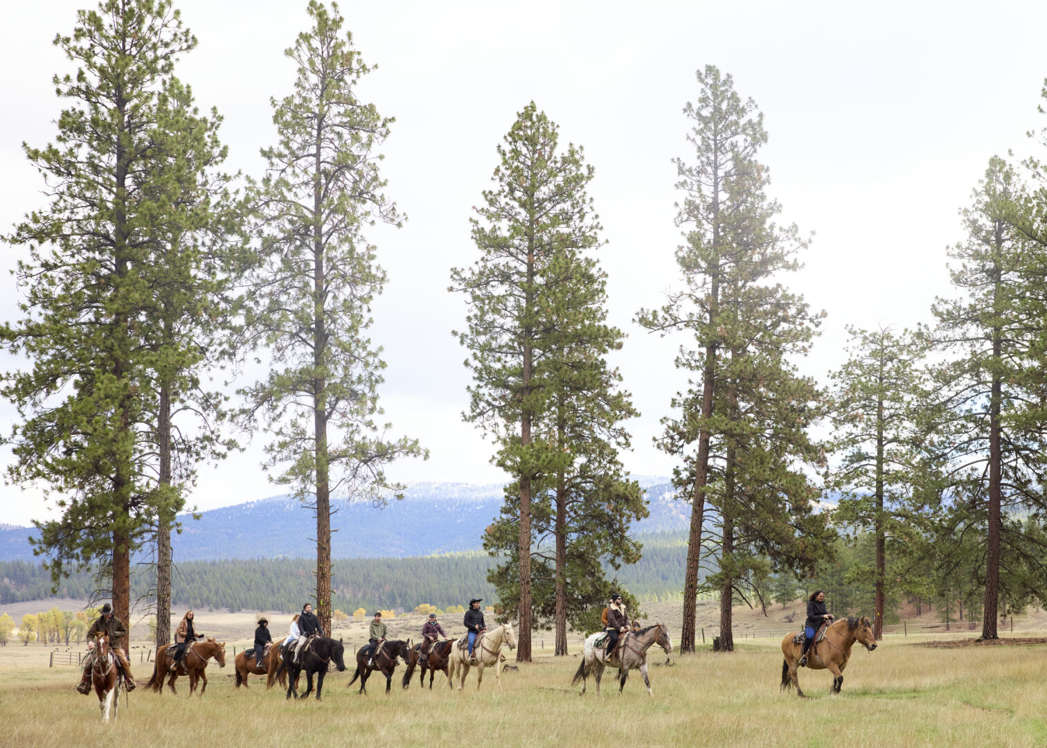 Large group of people horseback riding with tall trees and mountains in the background.