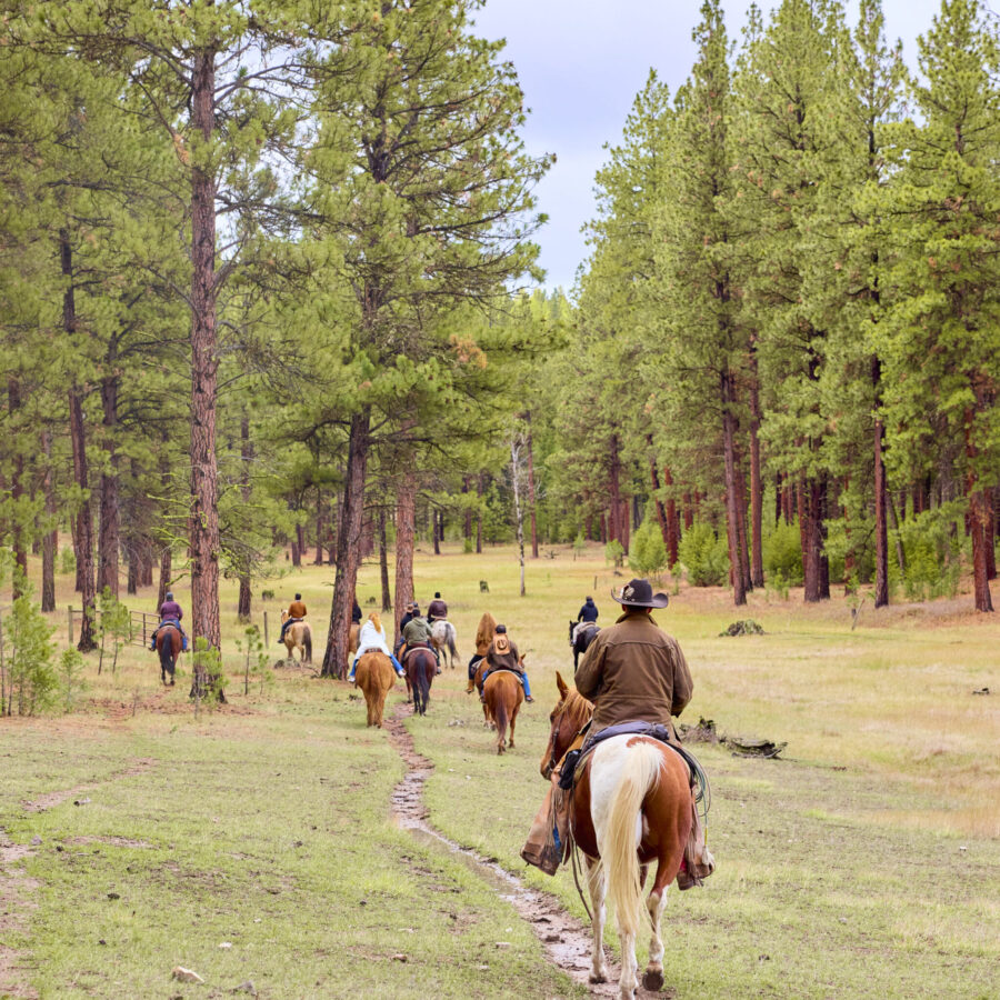 Group horseback riding on trails surrounded by trees.