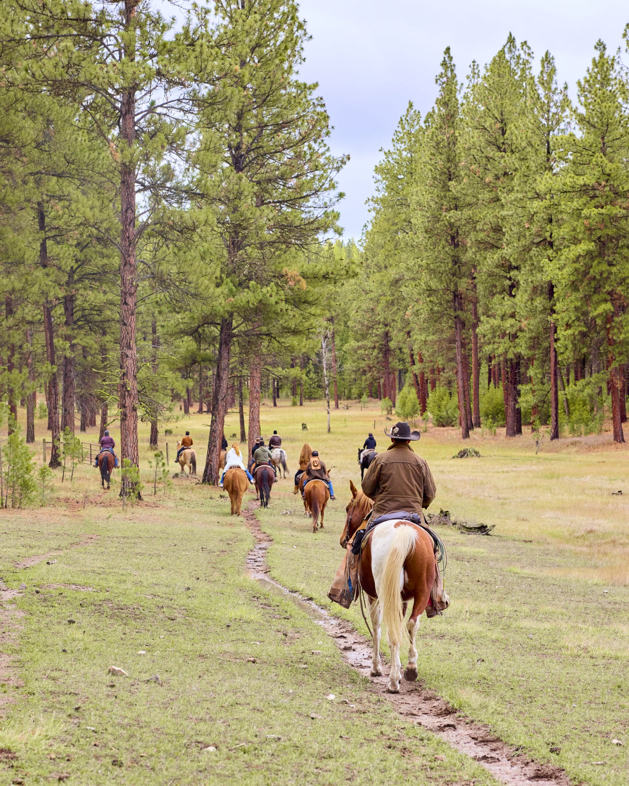 Group horseback riding on trails surrounded by trees.