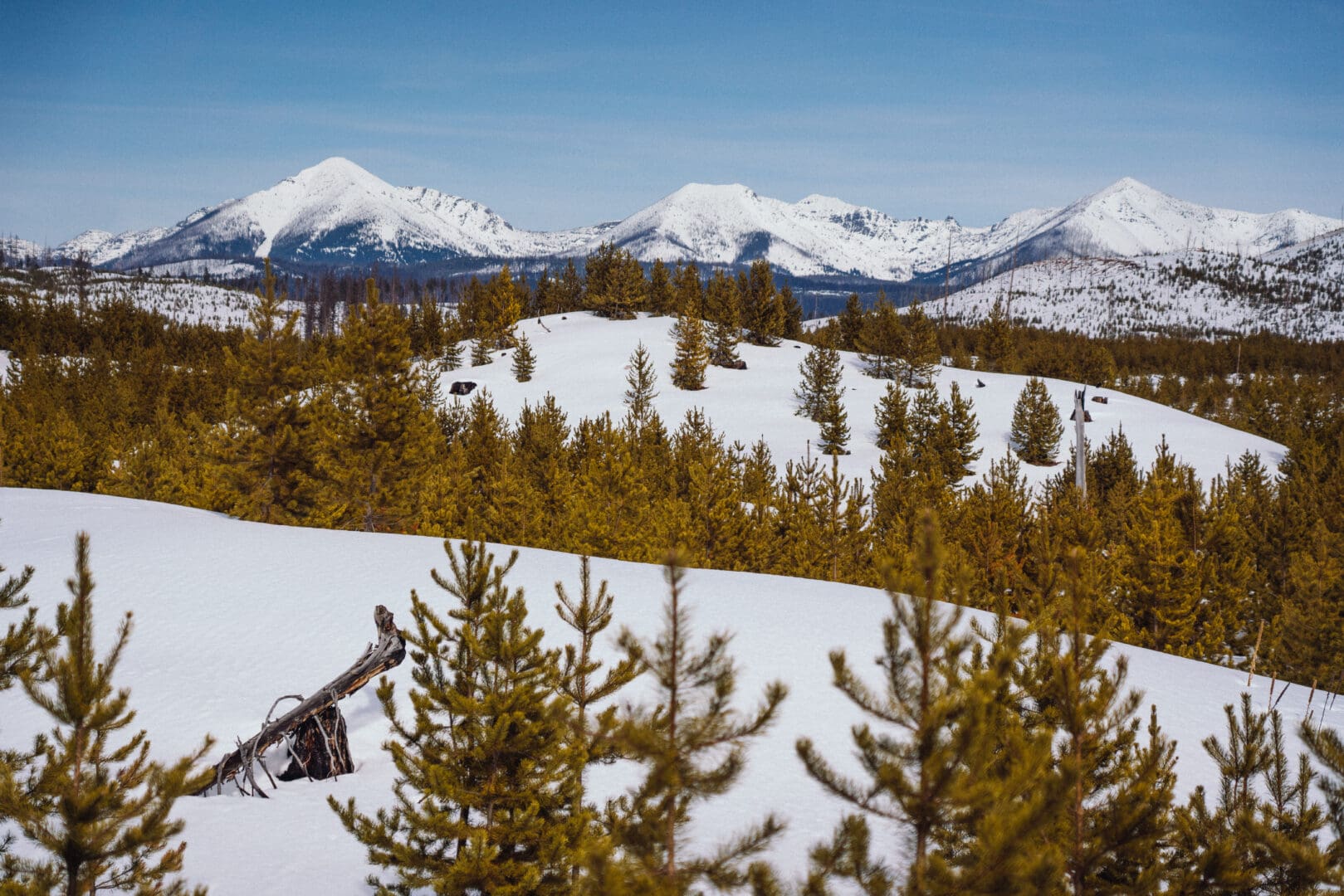 Snowy view of mountains.