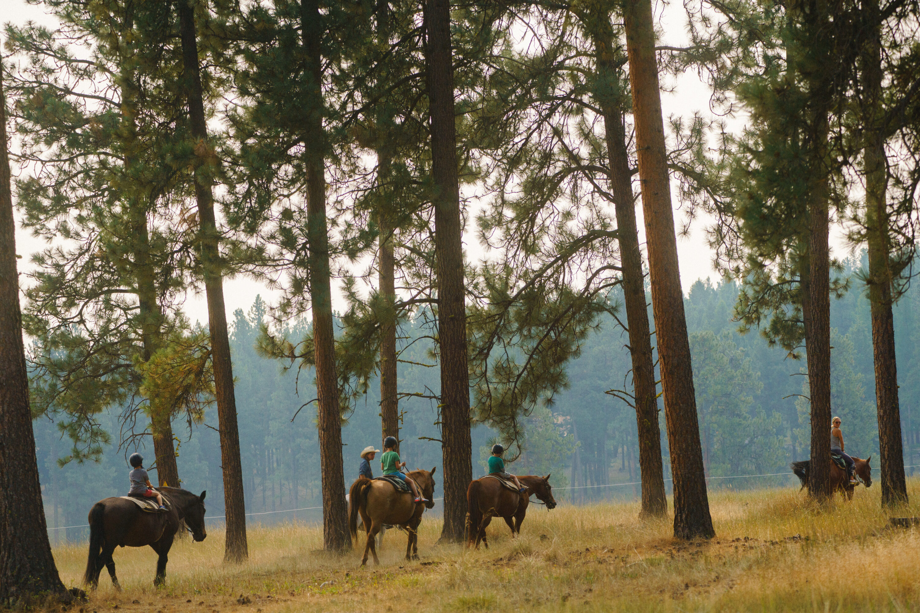 Group of children and trainer riding through a wooded area on horseback.