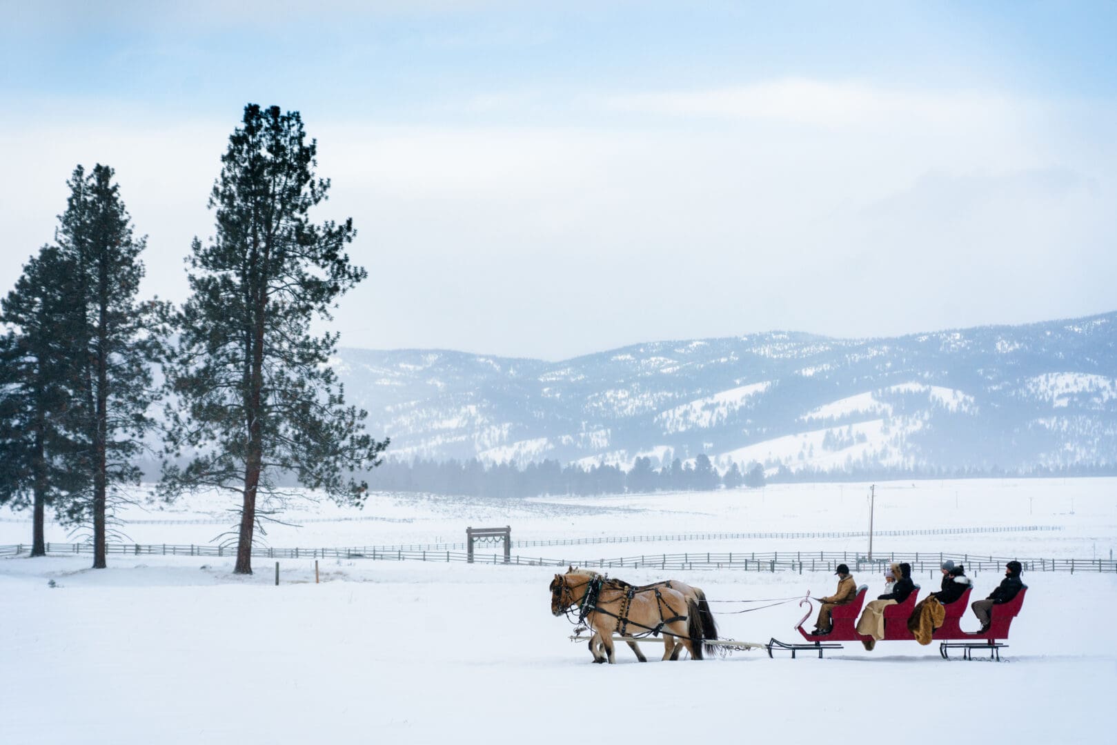 Group on a winter, horse drawn sleight ride through a snowy field.